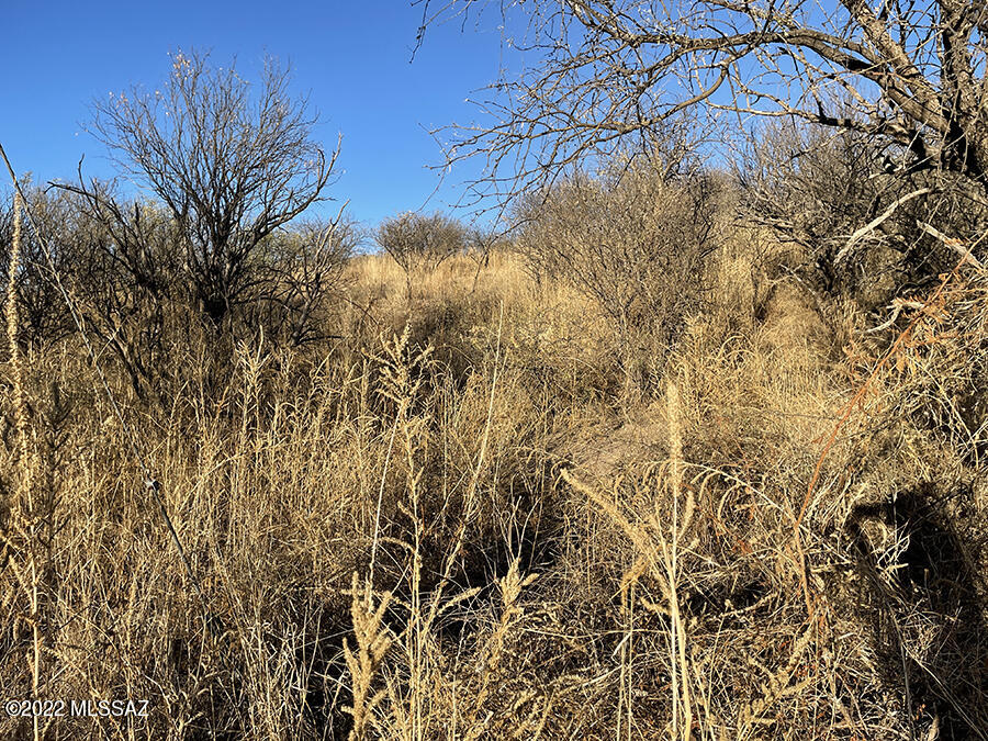 Rio Rico Estates 13 - Land