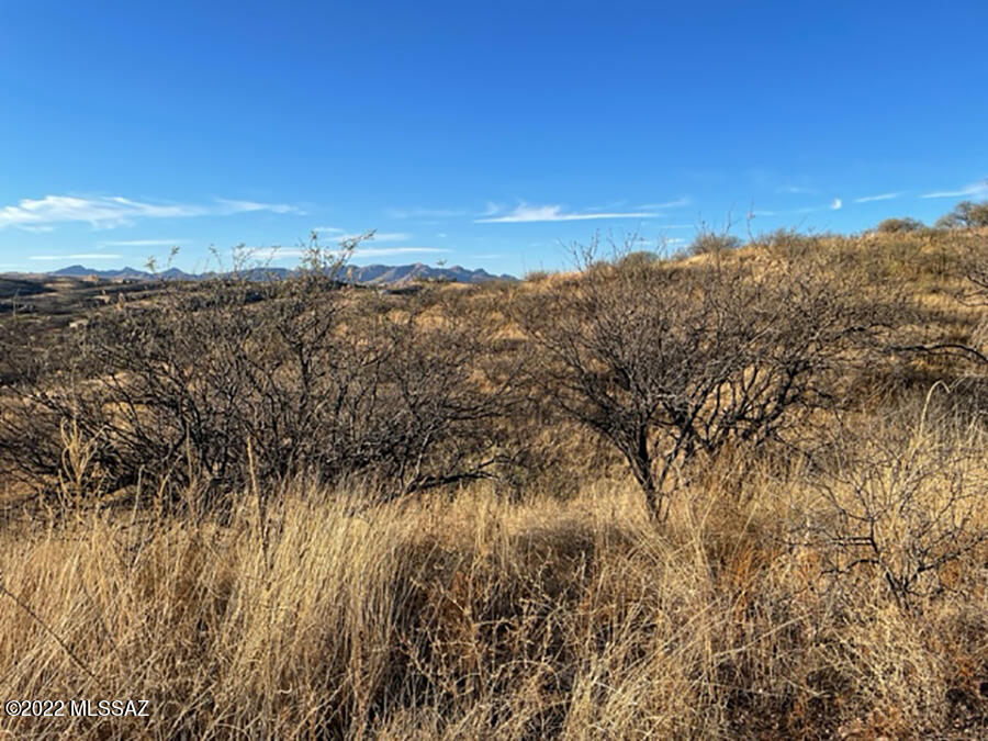Rio Rico Estates 13 - Land