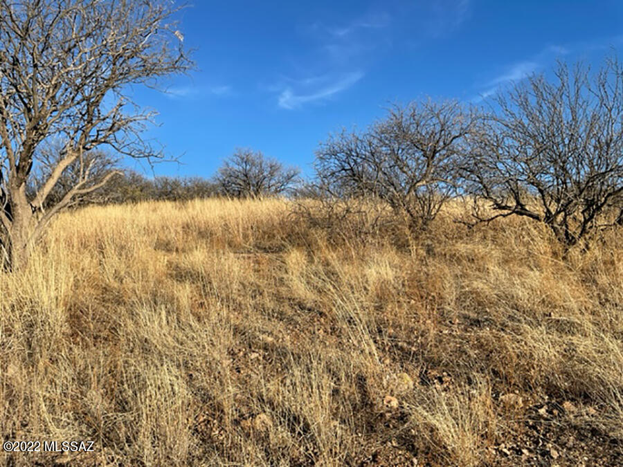 Rio Rico Estates 13 - Land