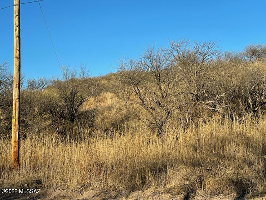 Rio Rico Estates 13 - Land