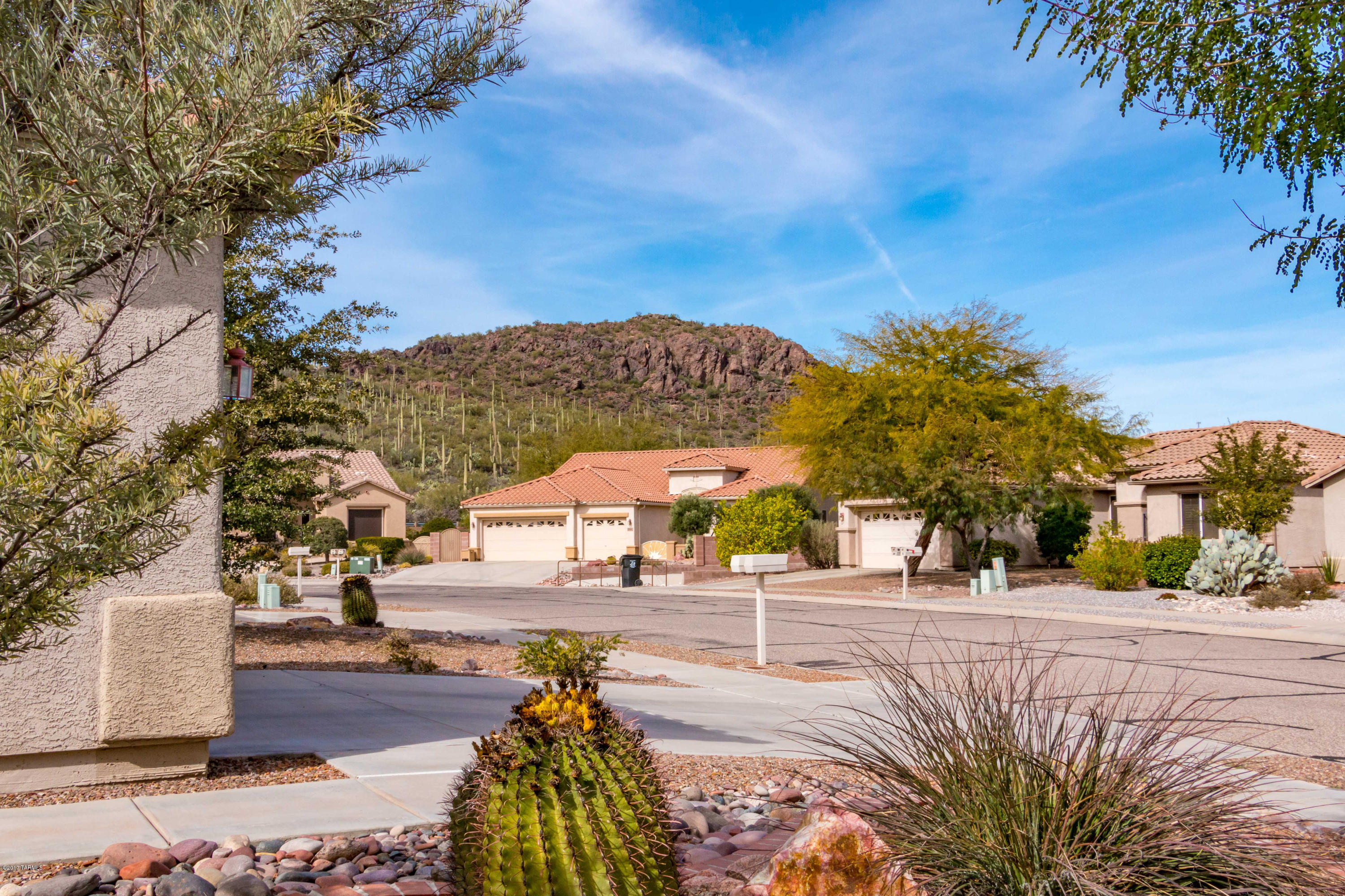 Continental Ranch Sunflower - Residential