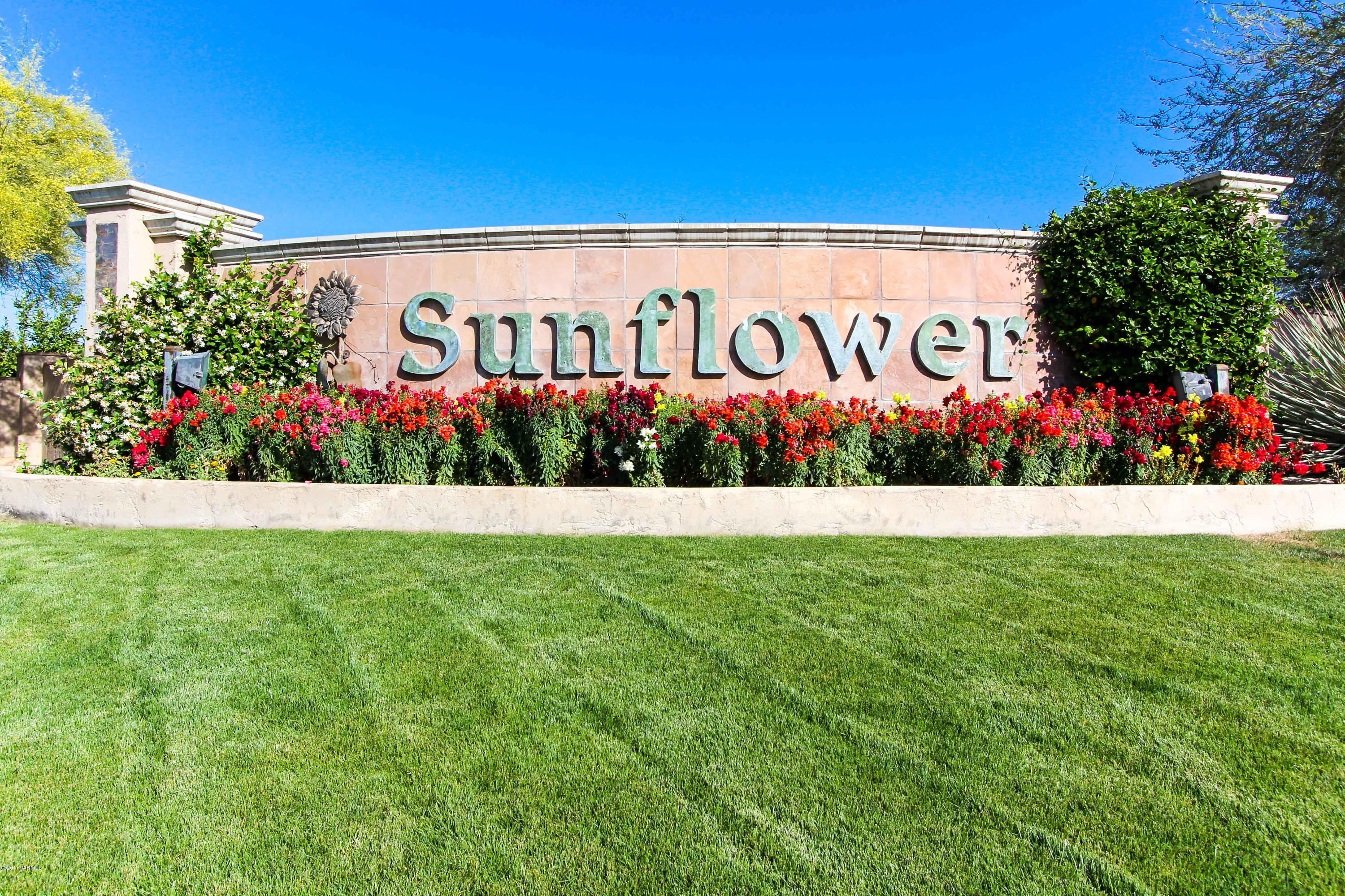 Continental Ranch Sunflower - Residential