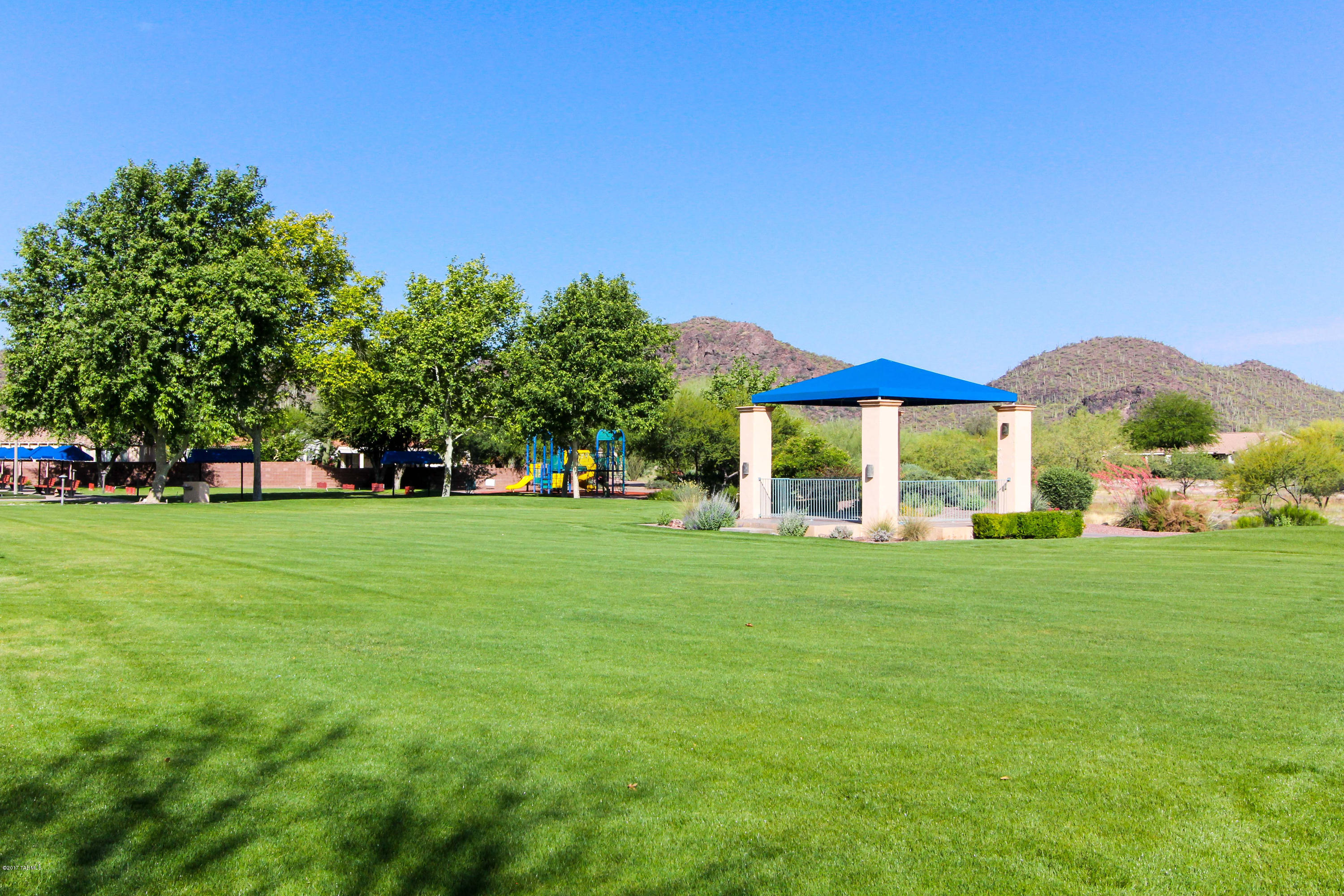 Continental Ranch Sunflower - Residential