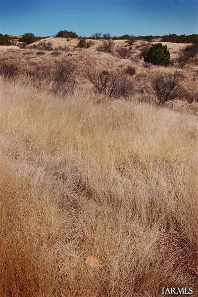 Lazy RR Ranch Estates - Land