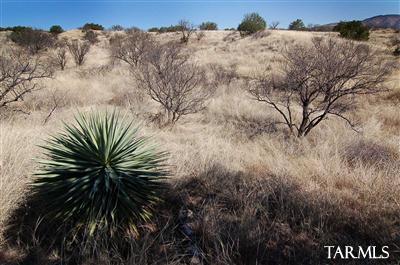 Exceptionally beautiful 16+ acres in lush Lazy RR Ranch Estates. This parcel offers varied terrain with mature native grasses, large oaks & mesquite, a seasonal pond & hidden valley, stunning mountain views & lots of privacy! National Forest trailheads are nearby; historic Patagonia is only a bike ride away & Tucson is conveniently 55 minutes to the north. This is an ideal spot for a cool weekend getaway, grand residence, or a cozy horse property.