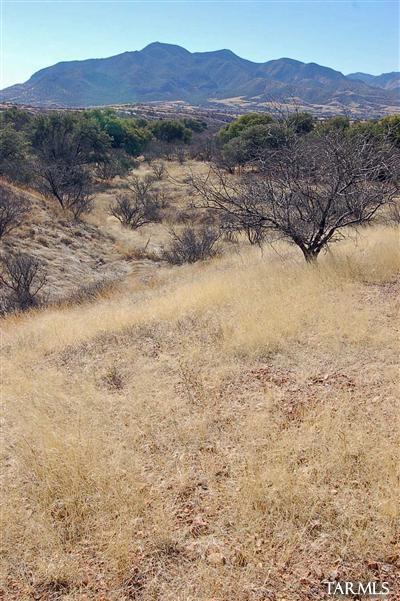 Lazy RR Ranch Estates - Land