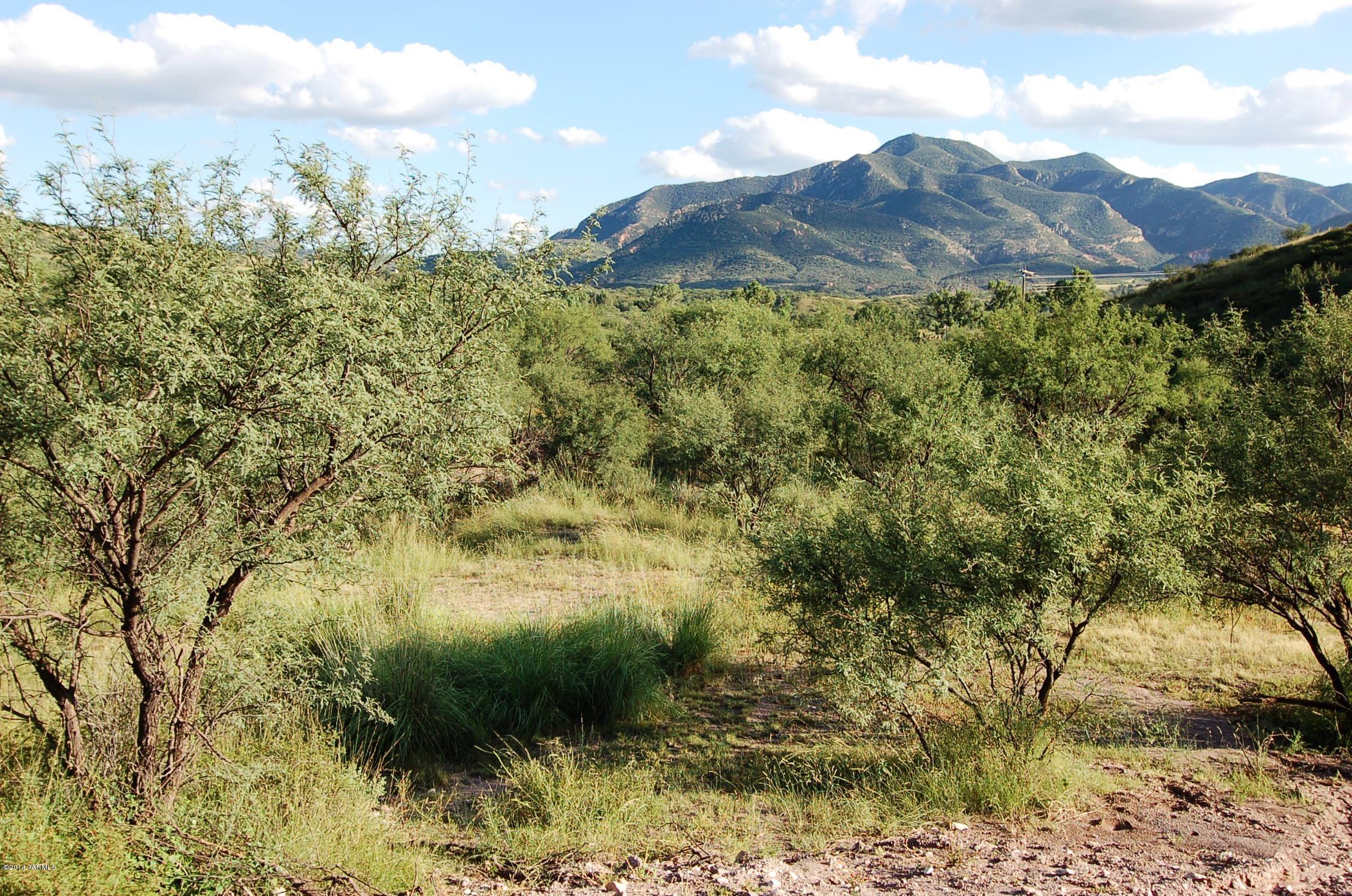 Lazy RR Ranch Estates - Land