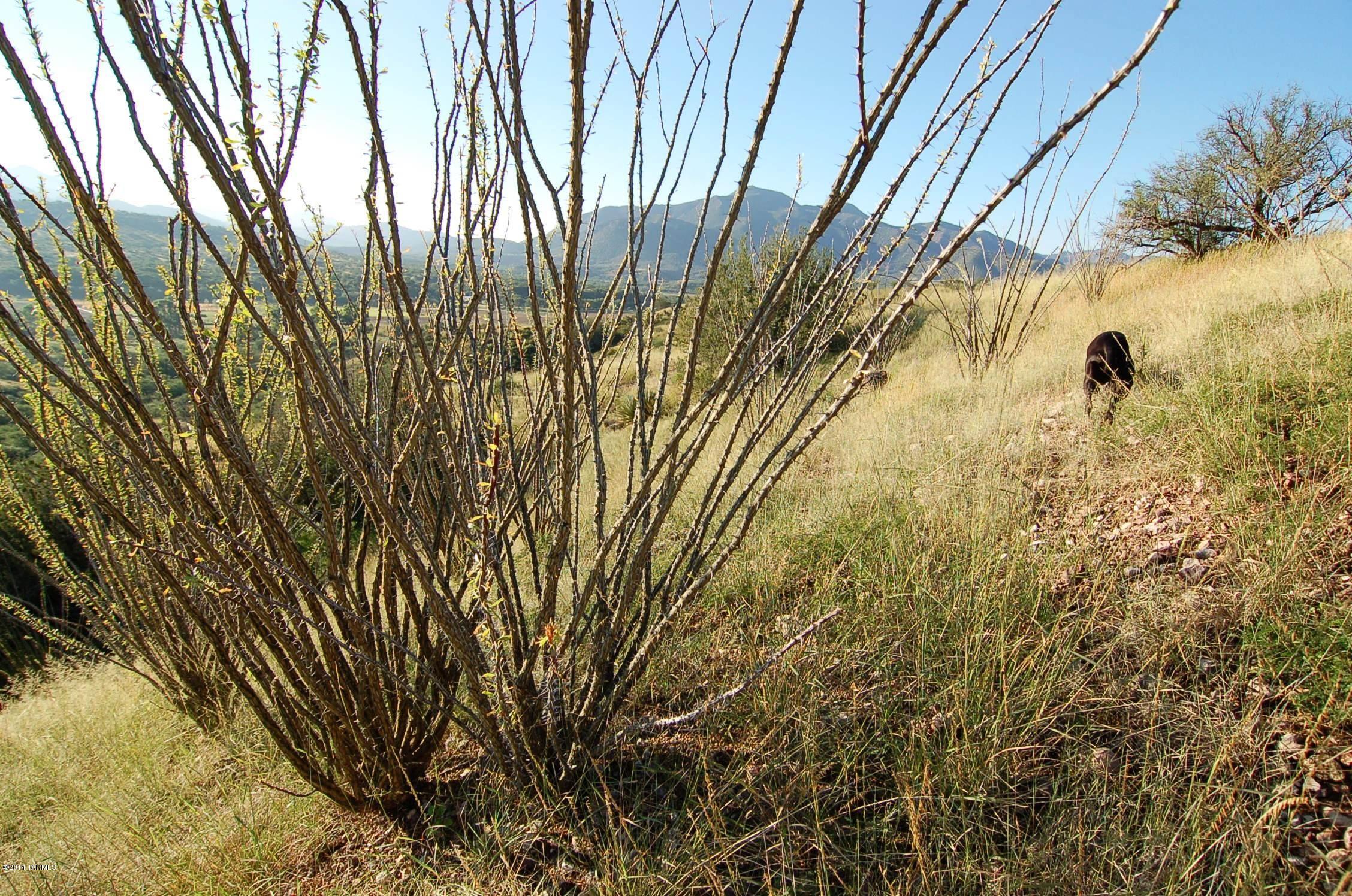 Lazy RR Ranch Estates - Land