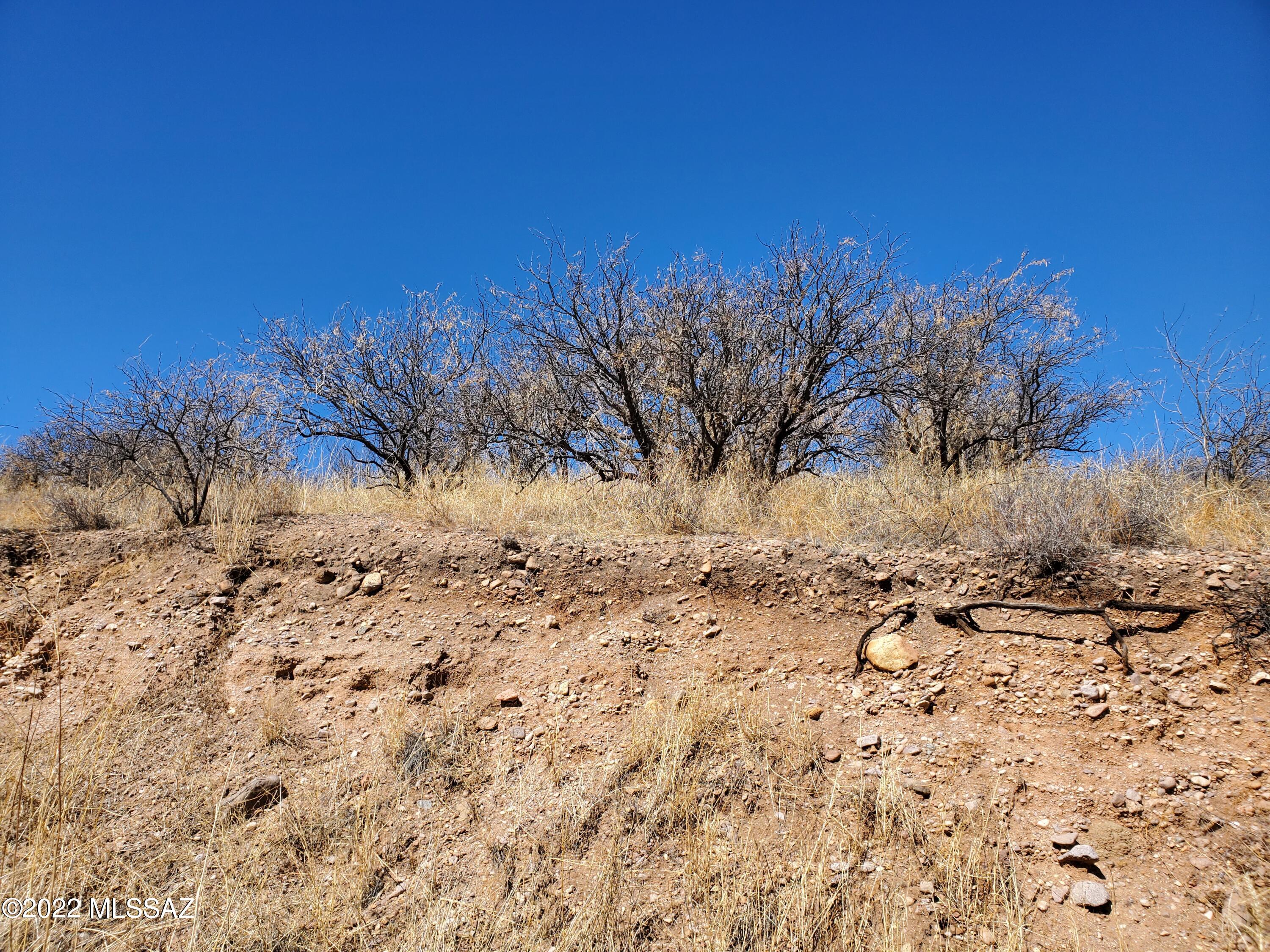 Rio Rico Estates - Land