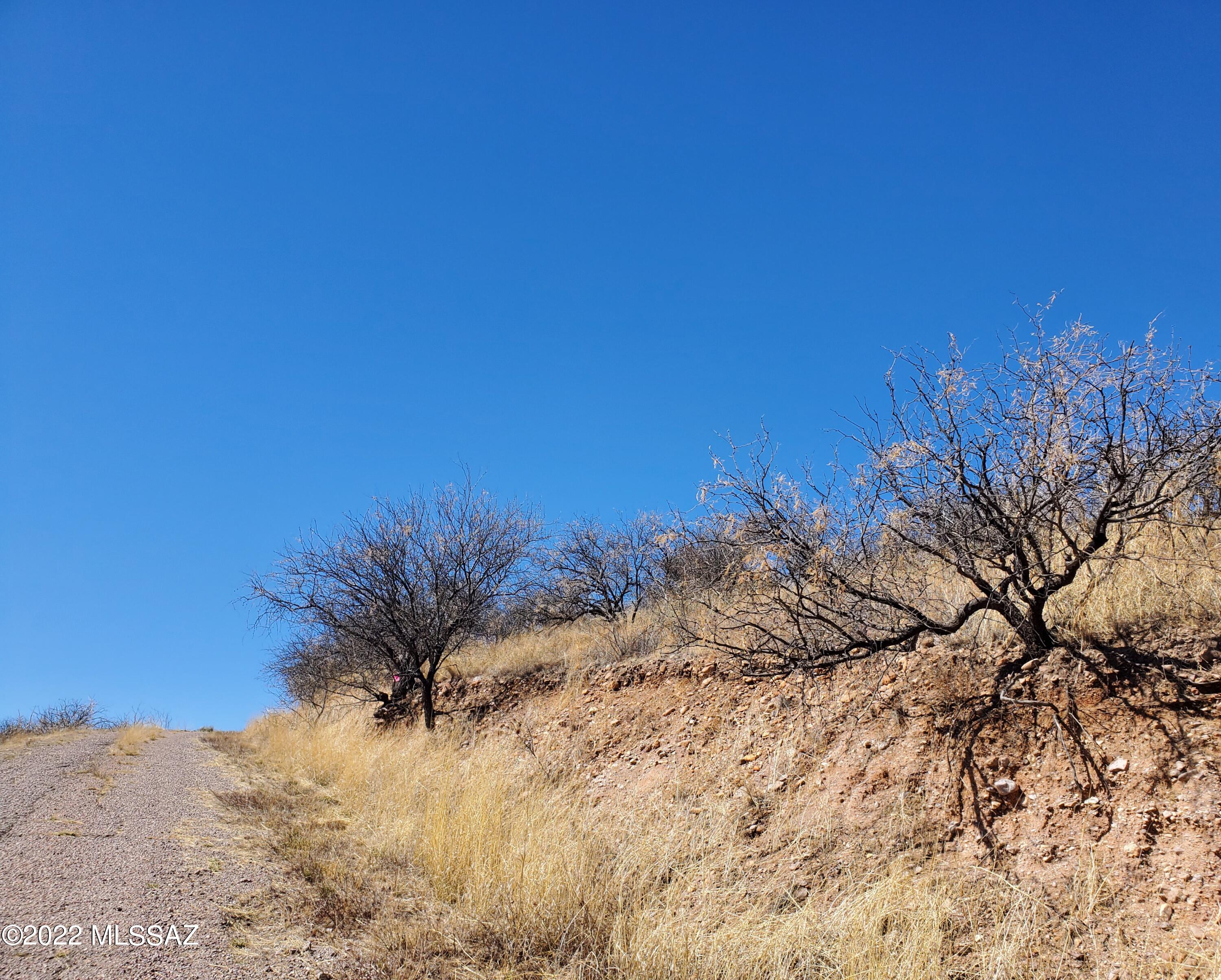 Rio Rico Estates - Land