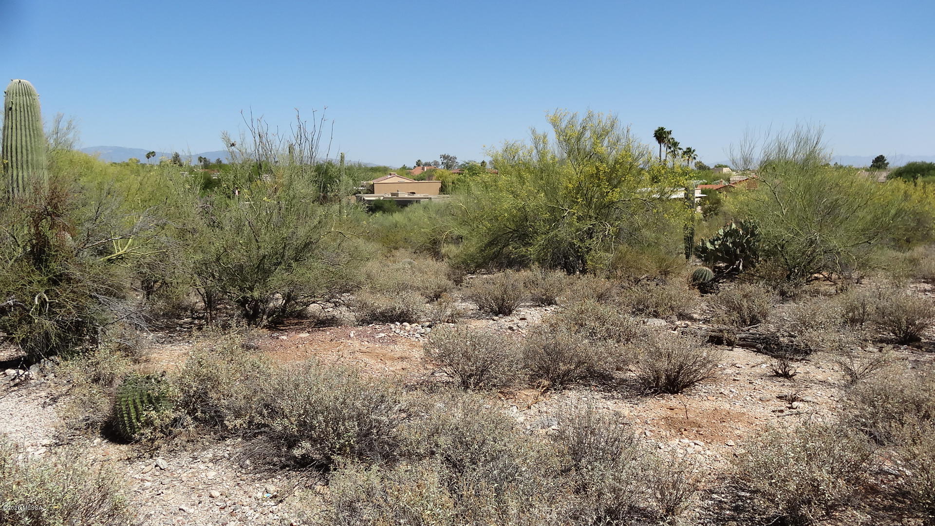 Shadow Hills (484-595) - Land