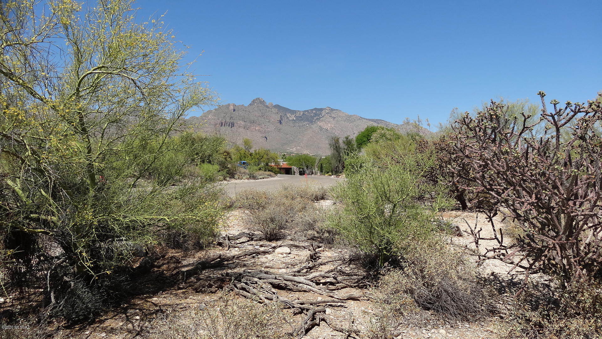 Shadow Hills (484-595) - Land