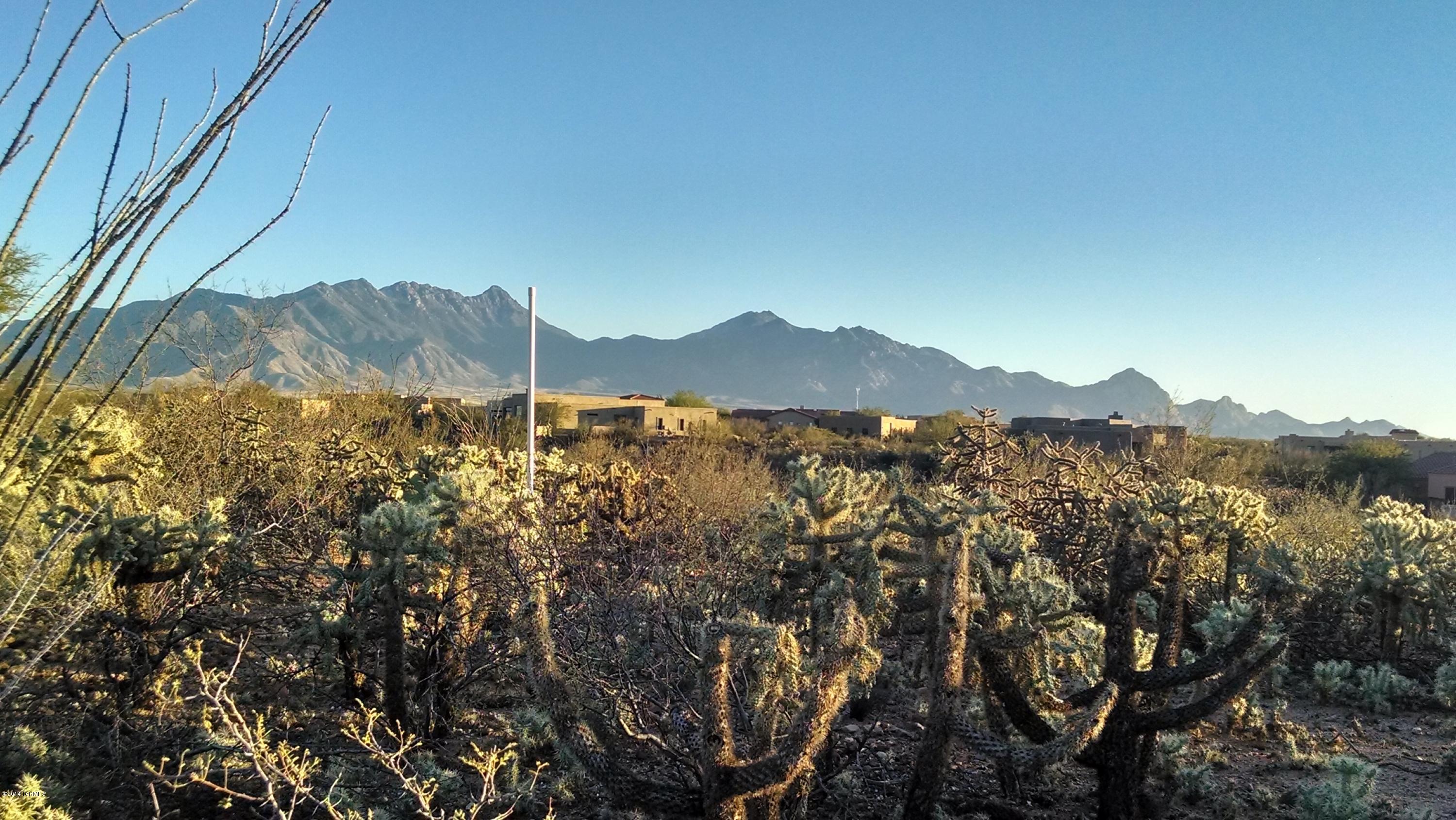 Madera Reserve Phase II (131-263) - Land