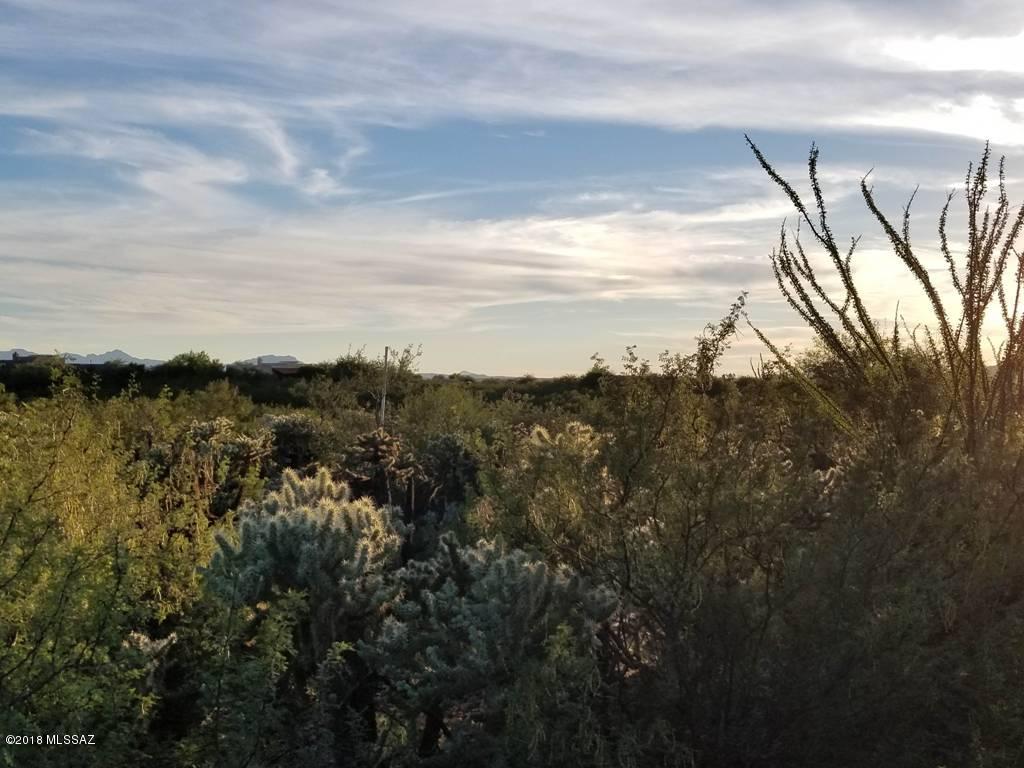 Madera Reserve Phase II (131-263) - Land