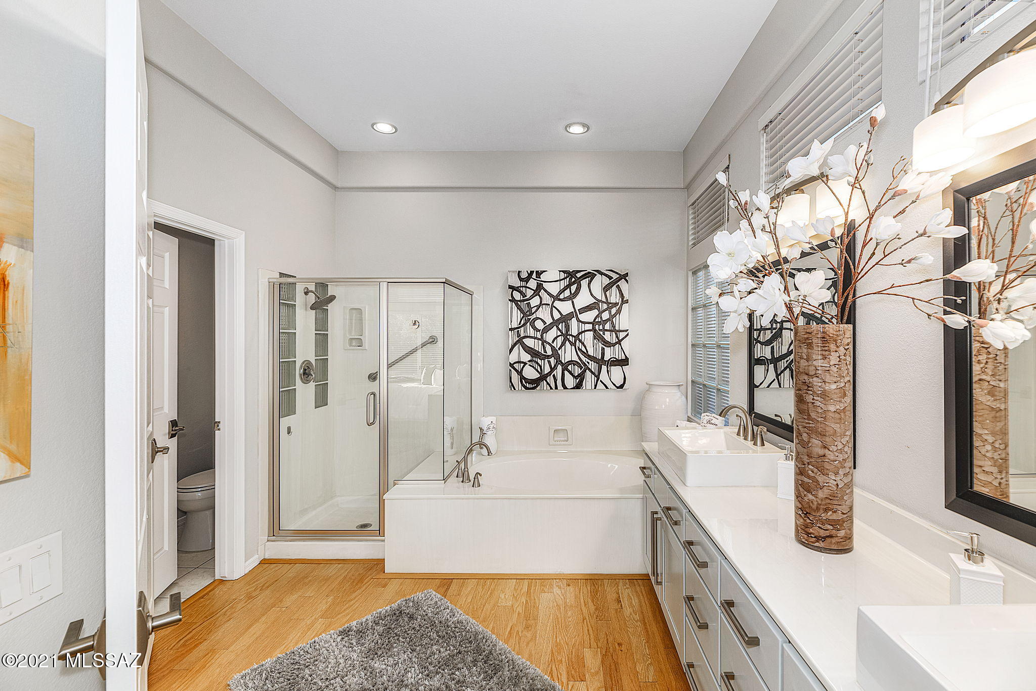 Sun City Vistoso Unit 7(1-227) - Residential