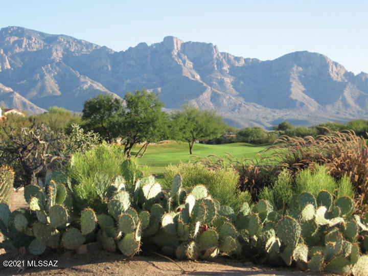Sun City Vistoso Unit 7(1-227) - Residential