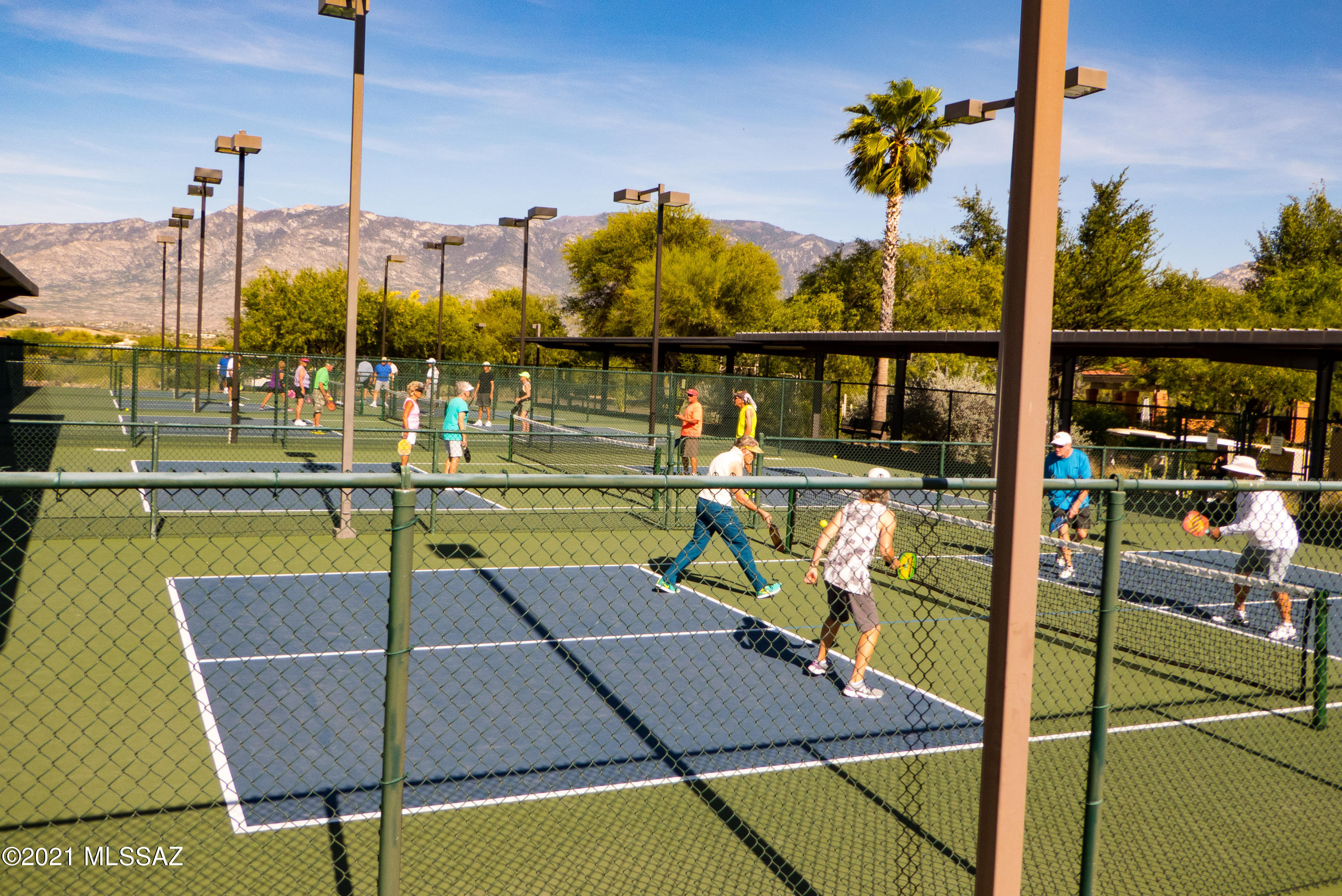 Sun City Vistoso Unit 7(1-227) - Residential
