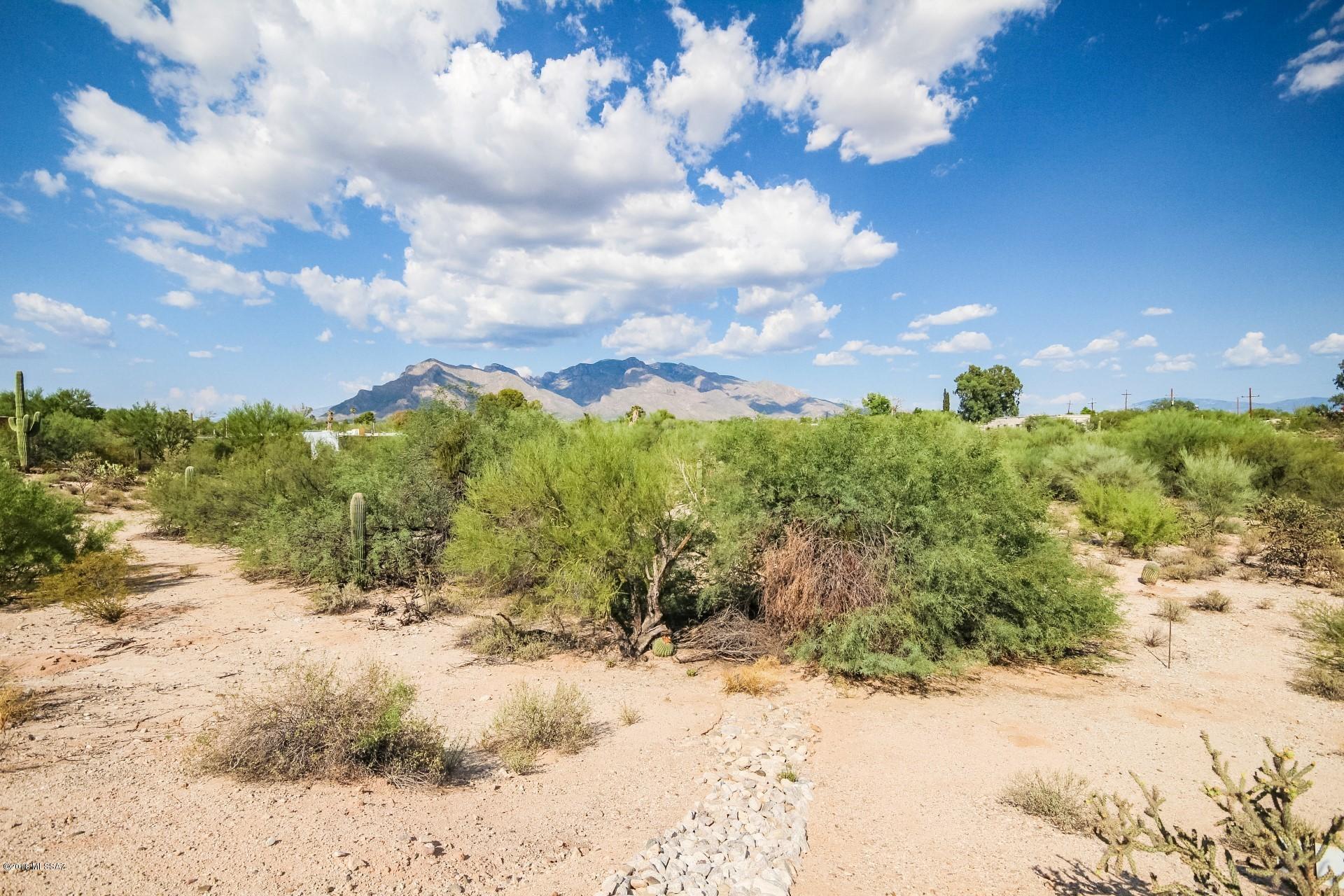 La Cholla Ridge (1-77) - Residential