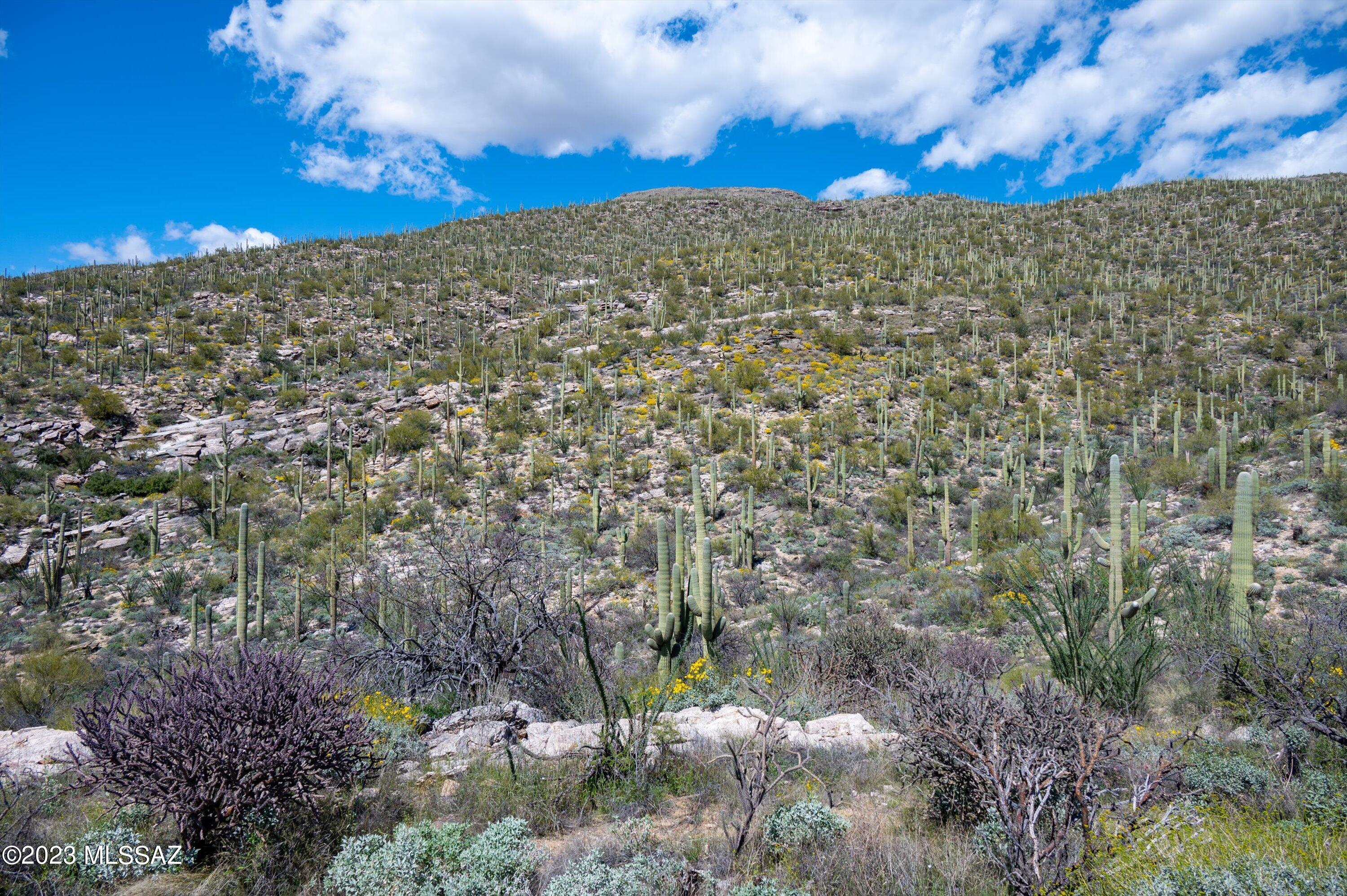 Estrella Vista Estates (1-23) - Land