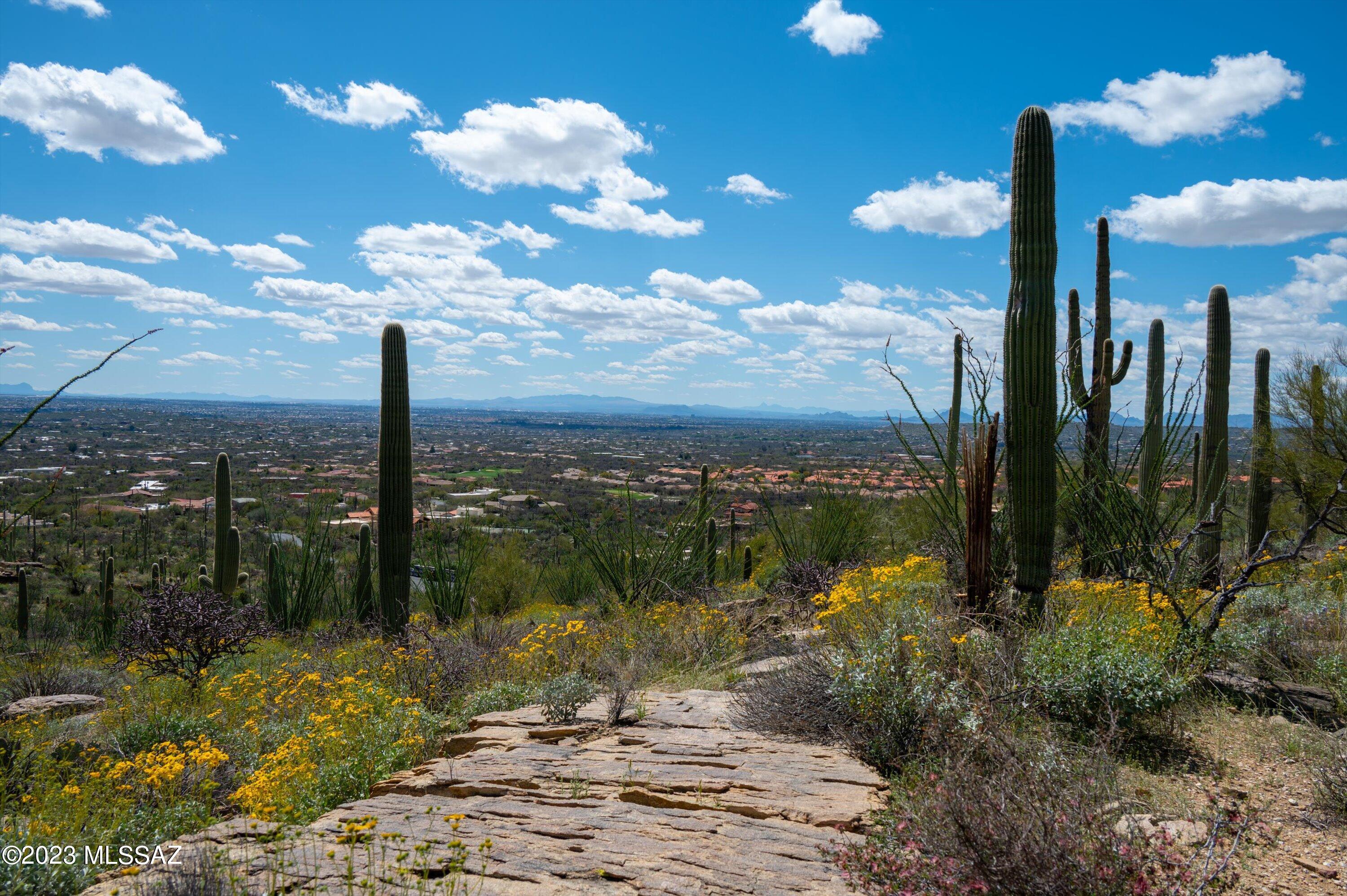 Estrella Vista Estates (1-23) - Land