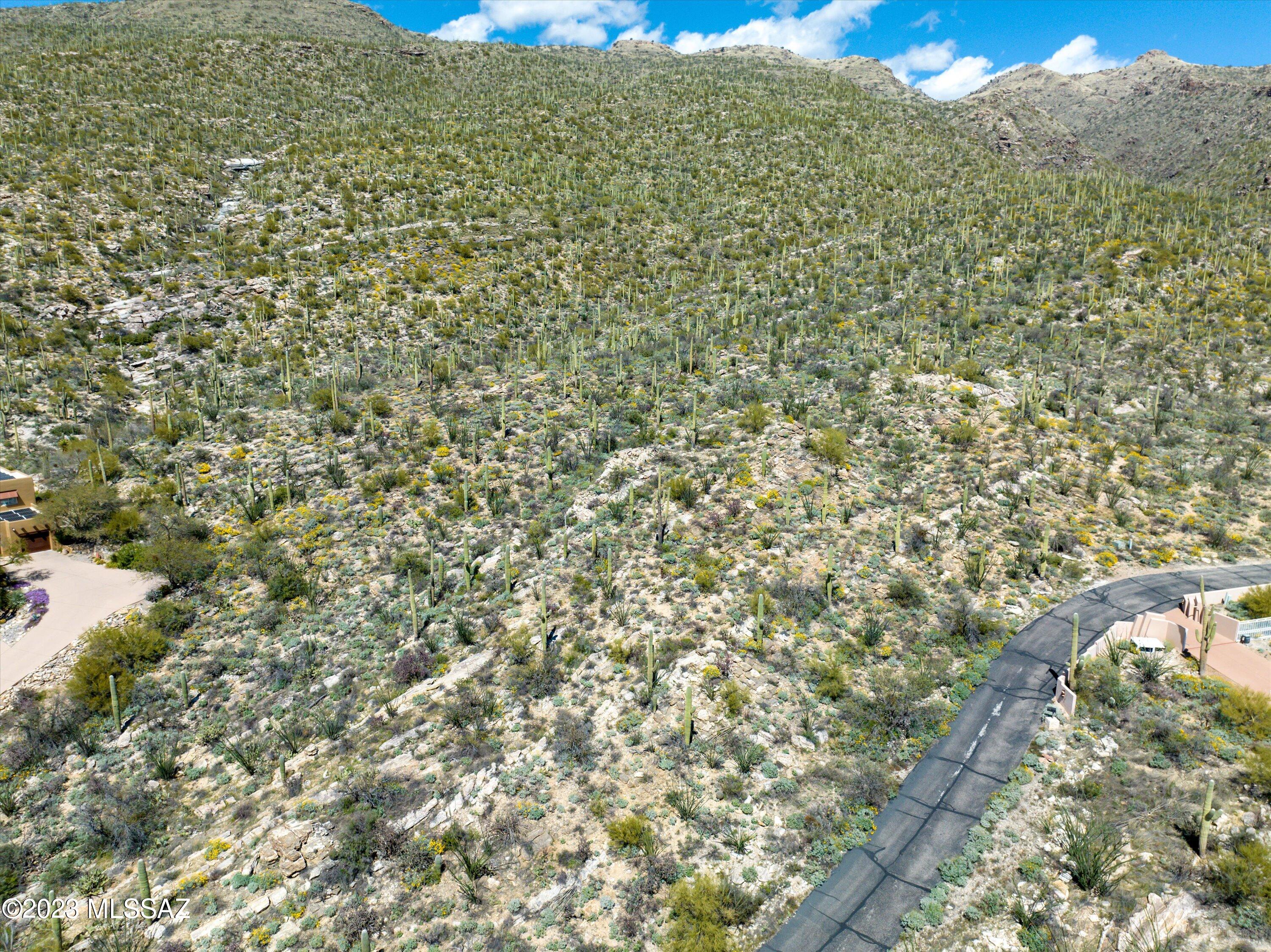 Estrella Vista Estates (1-23) - Land