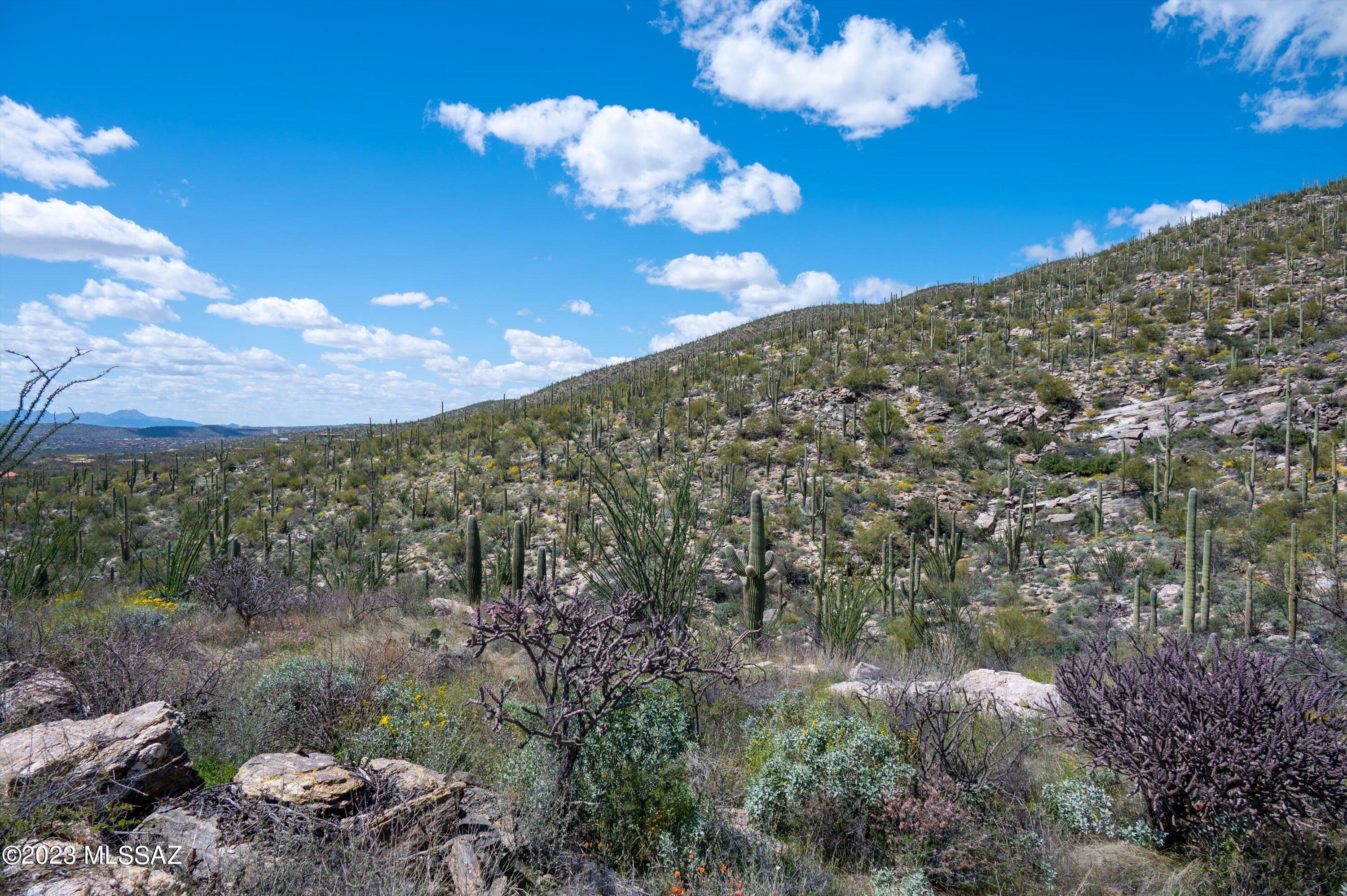 Estrella Vista Estates (1-23) - Land