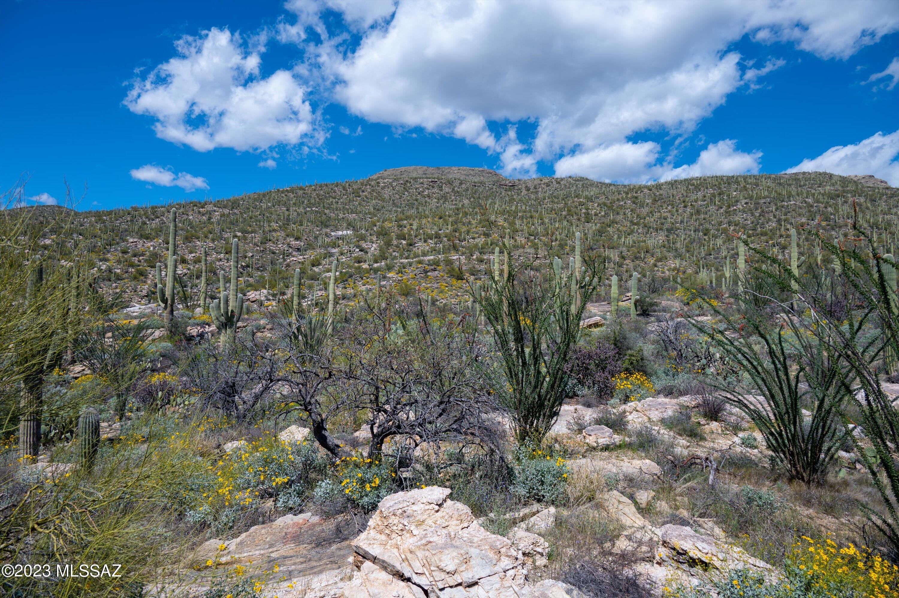 Estrella Vista Estates (1-23) - Land