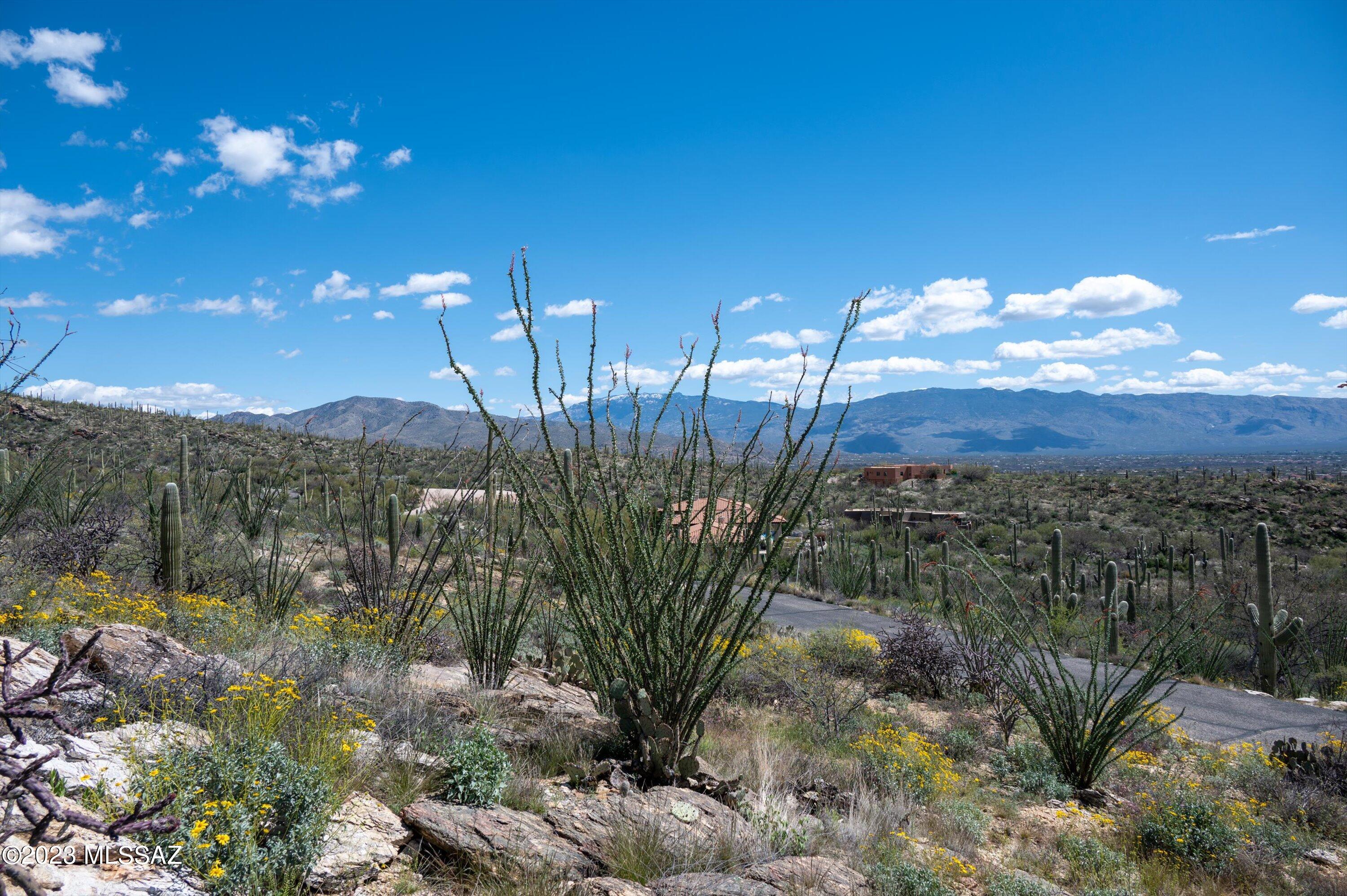 Estrella Vista Estates (1-23) - Land