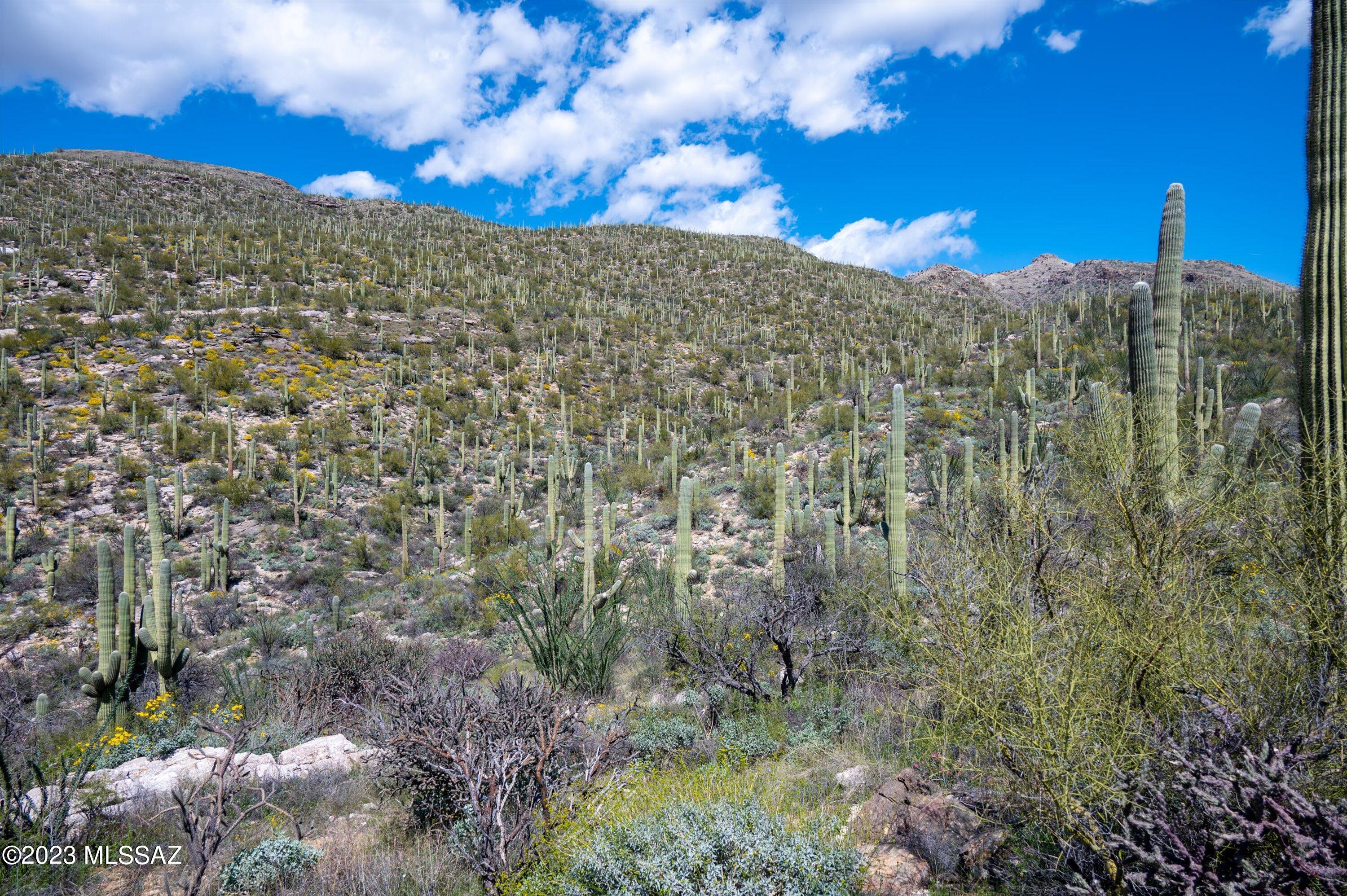 Estrella Vista Estates (1-23) - Land