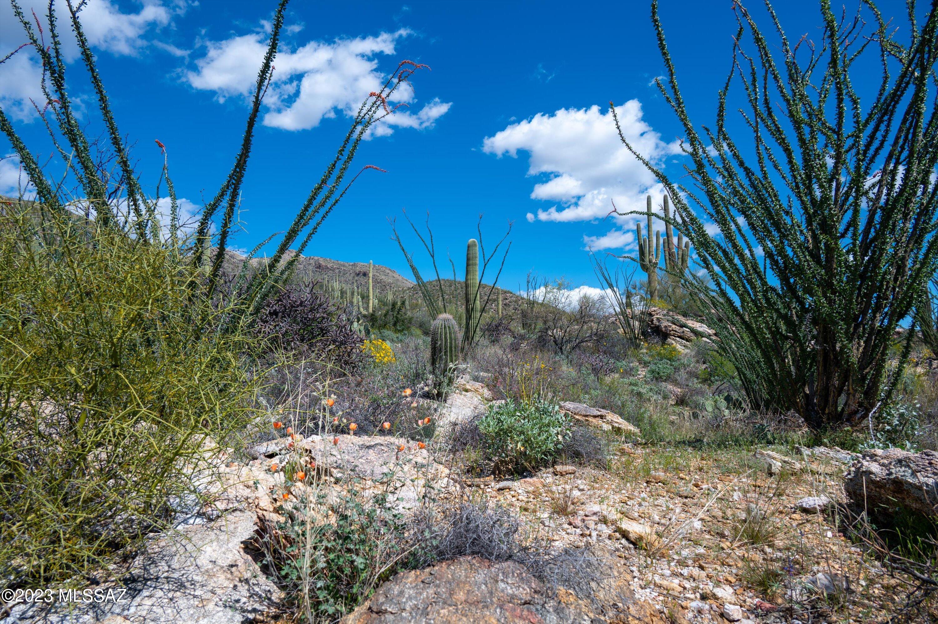 Estrella Vista Estates (1-23) - Land