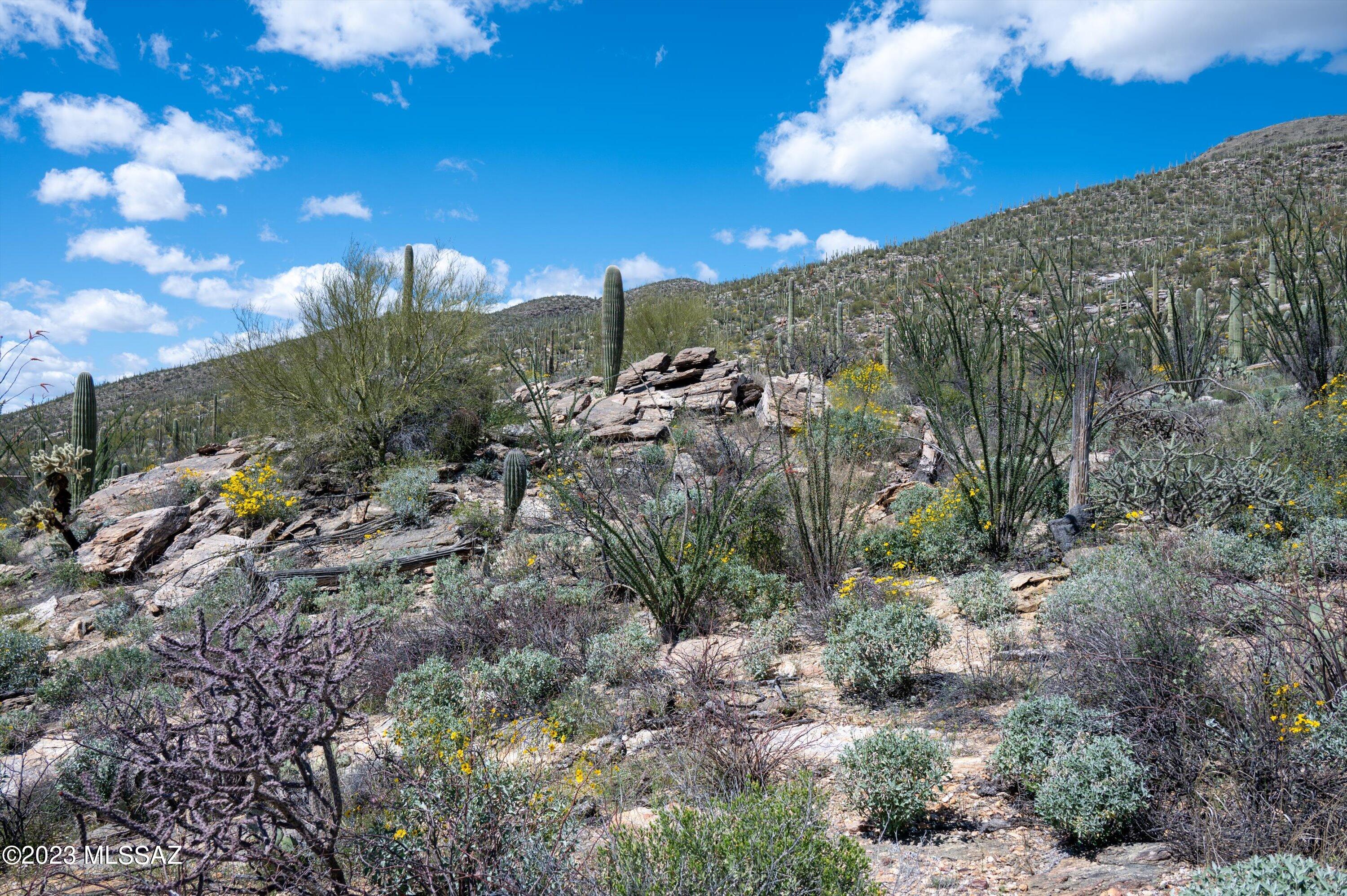 Estrella Vista Estates (1-23) - Land