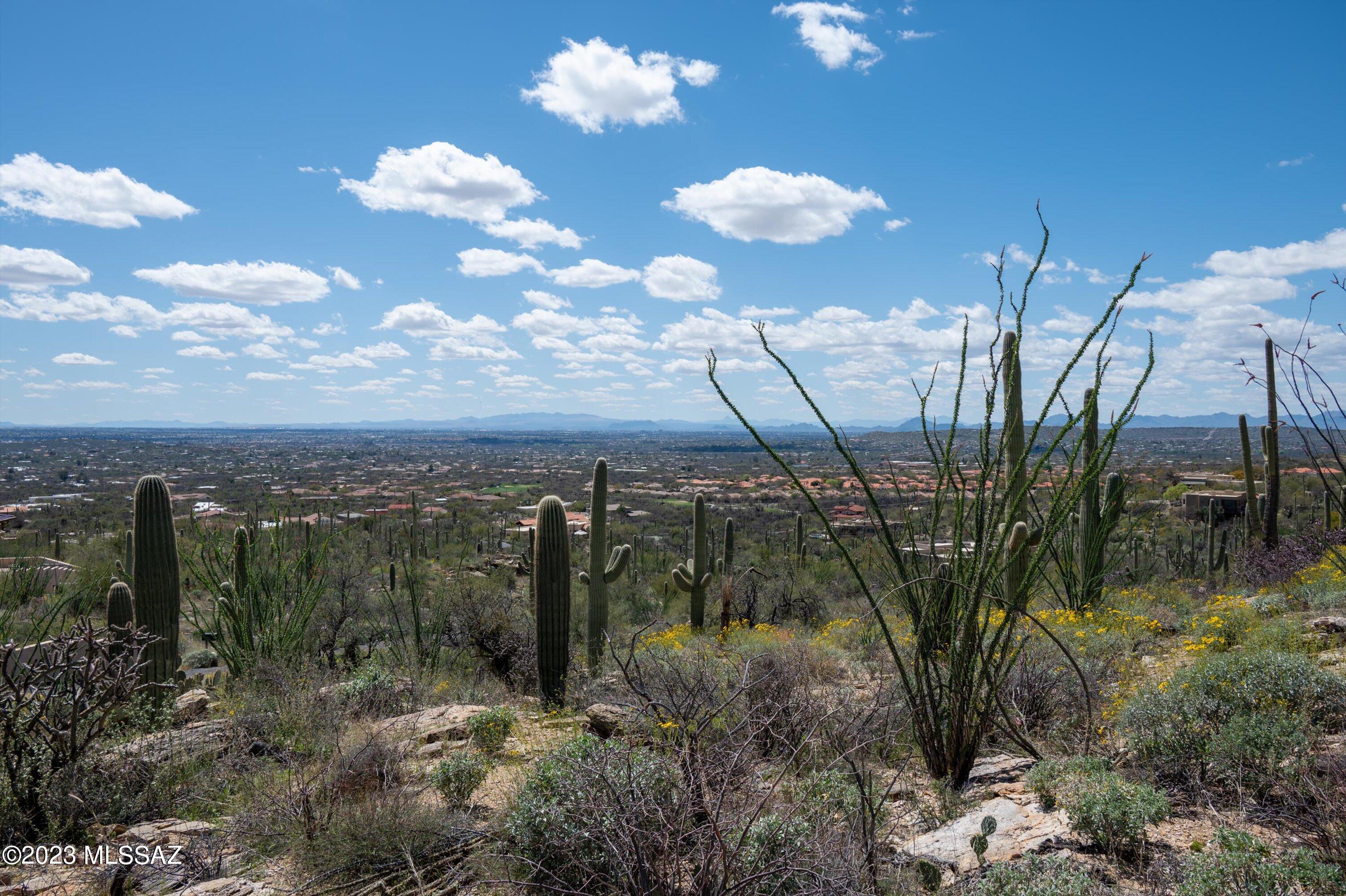 Estrella Vista Estates (1-23) - Land