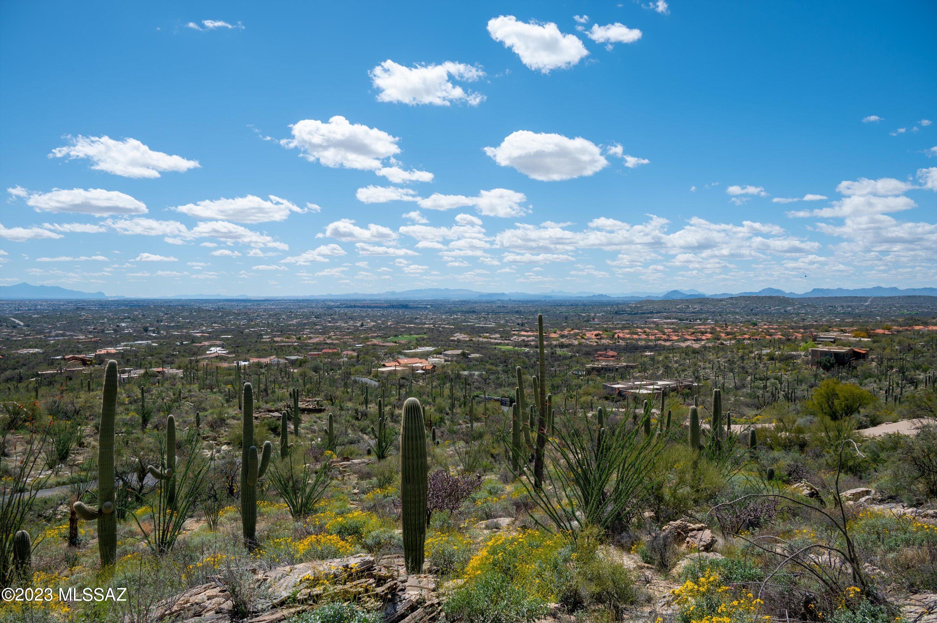 Estrella Vista Estates (1-23) - Land