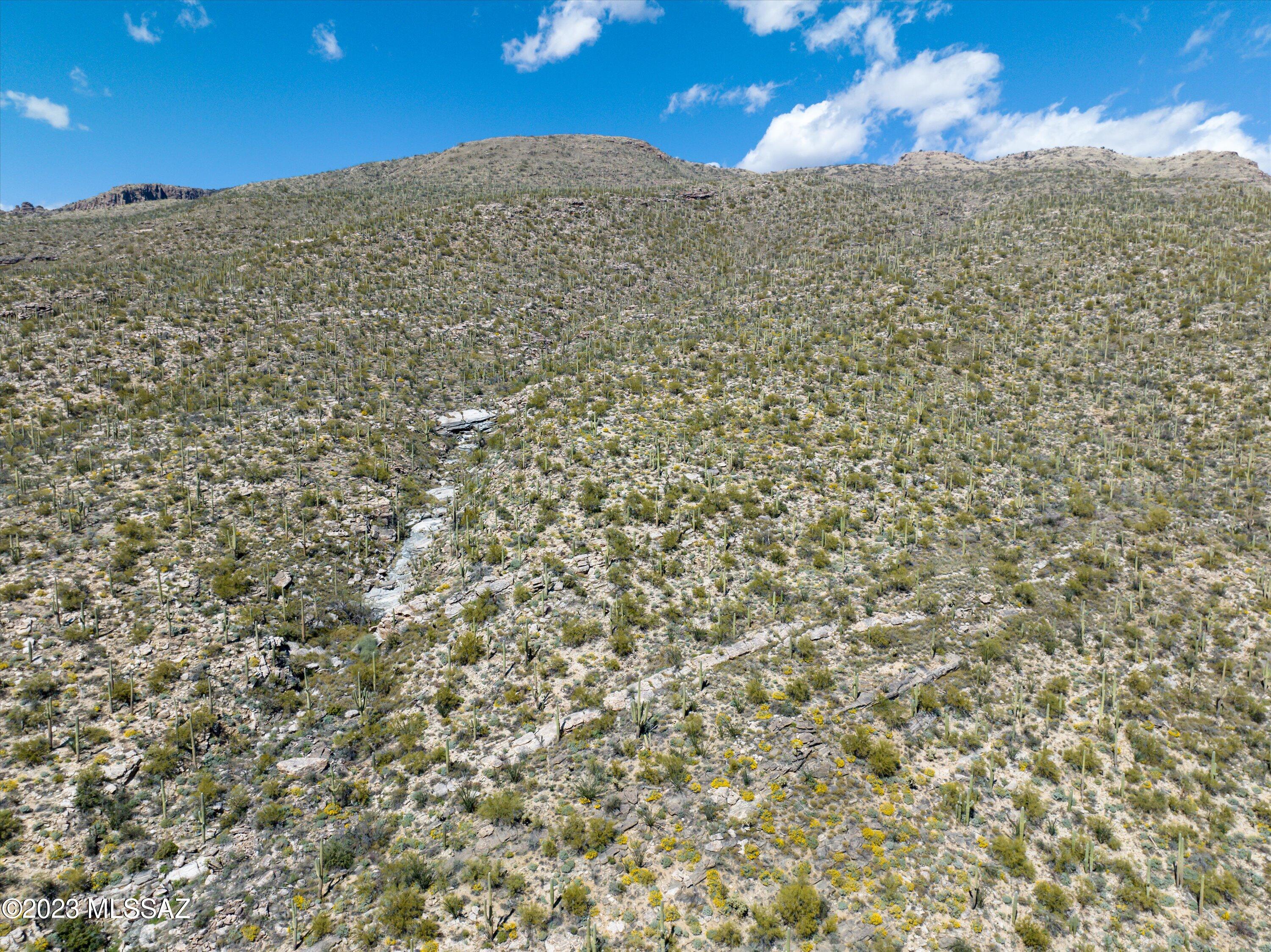 Estrella Vista Estates (1-23) - Land
