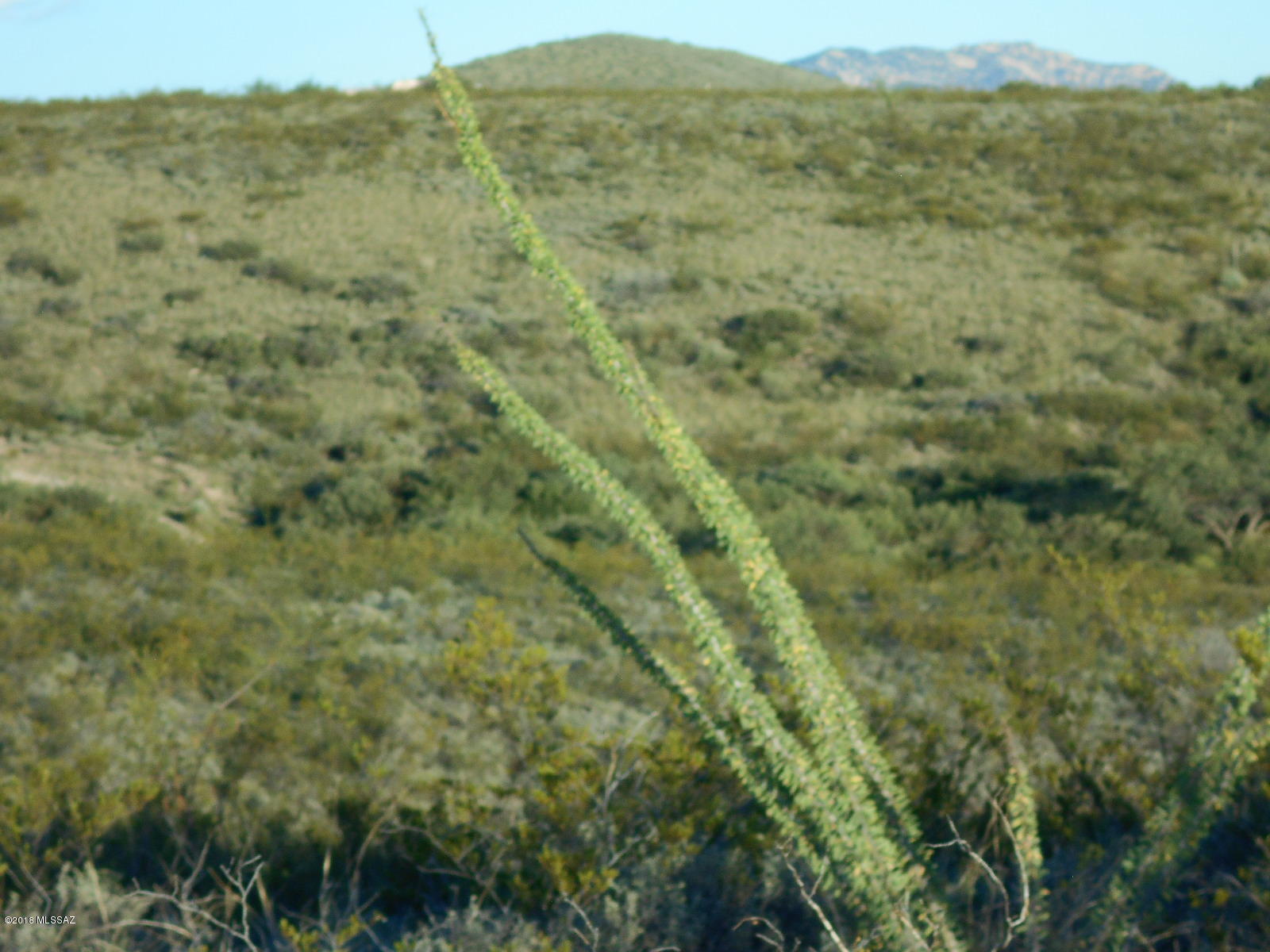 Tombstone Territory Estates Unit 1 - Land
