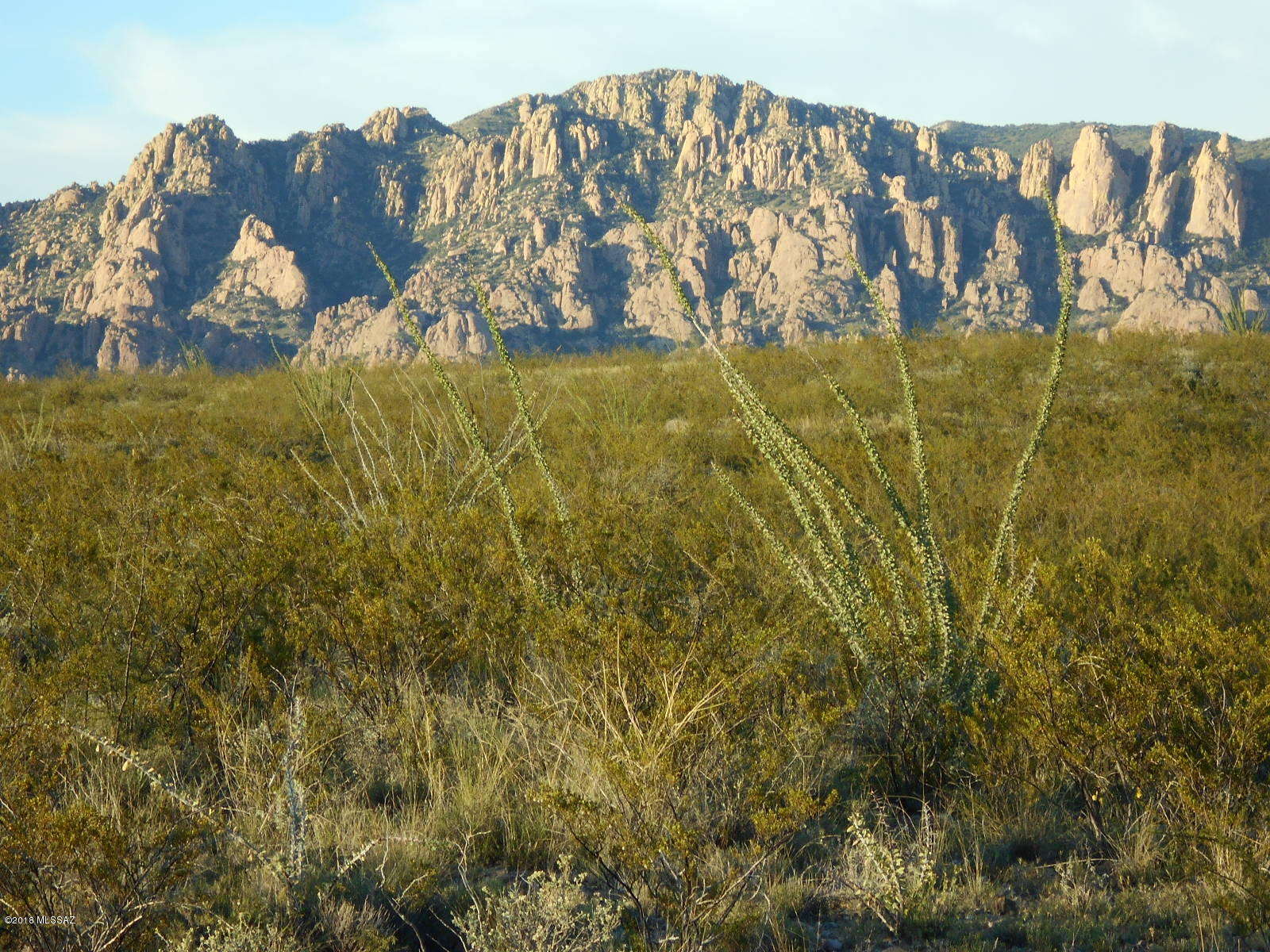 Beautiful parcel just a short distance to Tombstone. Spectacular views of the Dragoon Mountain range, just off Middlemarch Road. Privacy plus! A wonderful spot to get away from the fast pace of the city, with unparalleled views of one of the most beautiful mountain ranges in Arizona. Make it your permanent home in the country to live, raise animals, or just have a weekend getaway, where it's only you and the natural beauty around you. Rockhounds will be in paradise! A natural ravine on the western portion of your land to see live water during the monsoon season. The views of the Sunrise and Sunset is breathtaking.  Nearly 39 Acres of quiet, beautiful, affordable, Arizona rangeland that's just a short jaunt to historic Tombstone for fun, food, and history of the Southwest. Seller Carry!