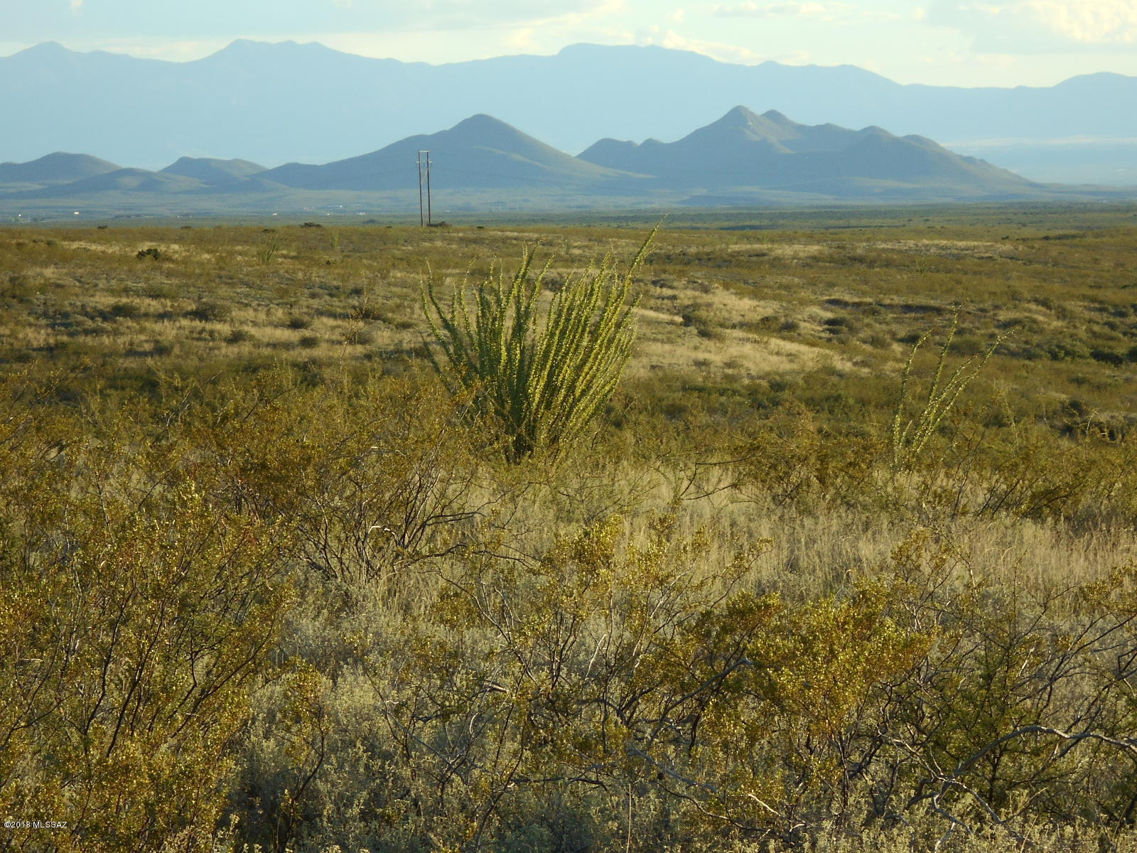 Tombstone Territory Estates Unit 1 - Land