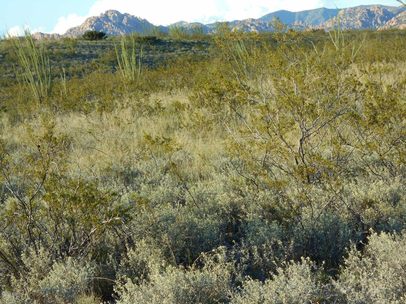 Tombstone Territory Estates Unit 1 - Land