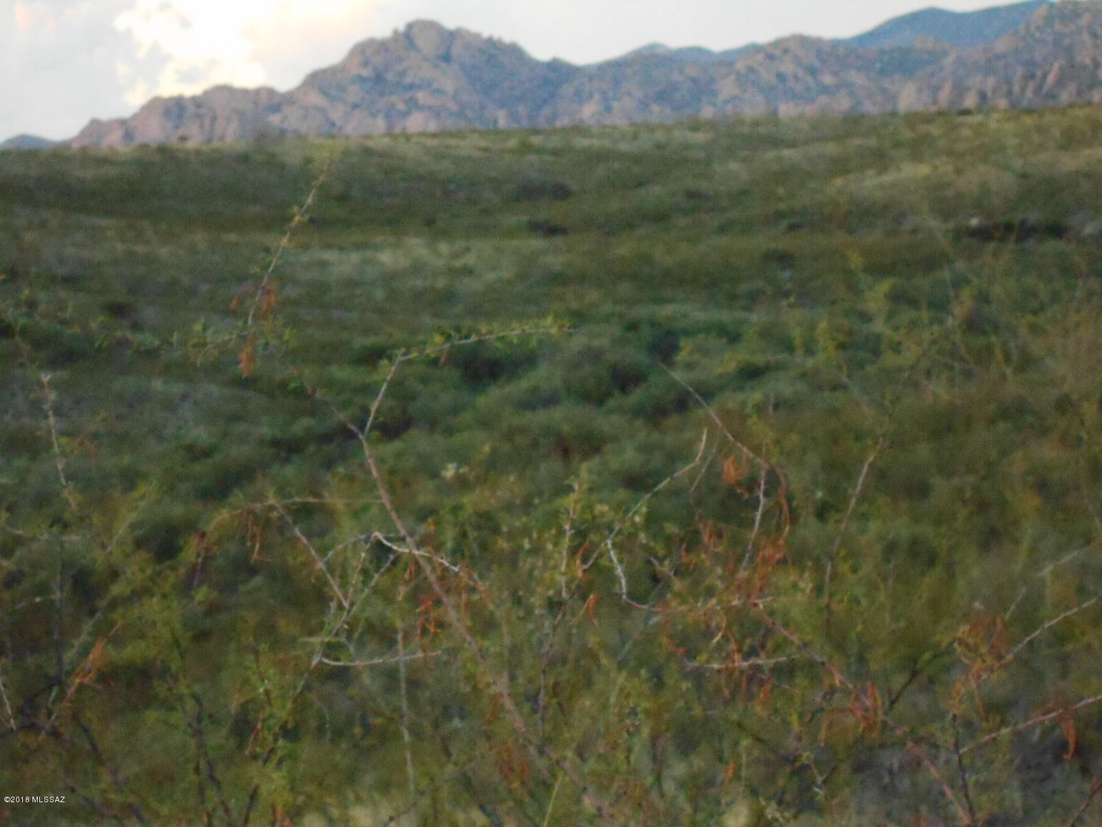 Tombstone Territory Estates Unit 1 - Land