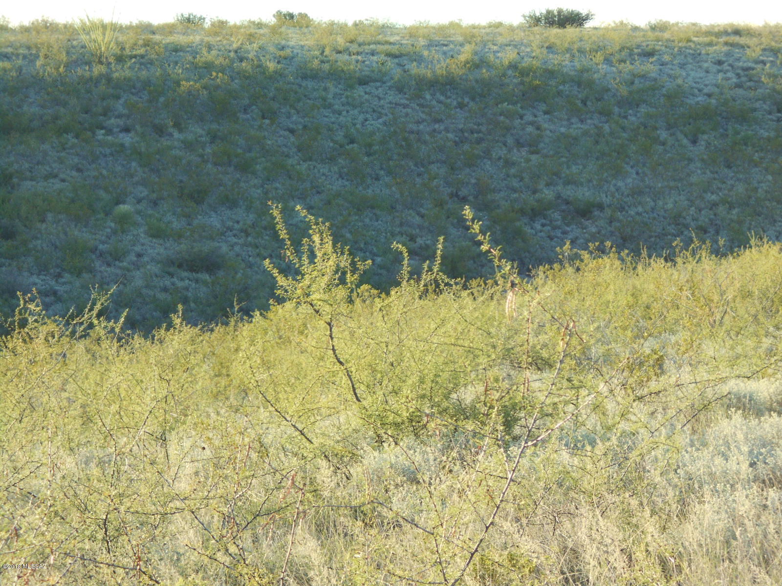 Tombstone Territory Estates Unit 1 - Land