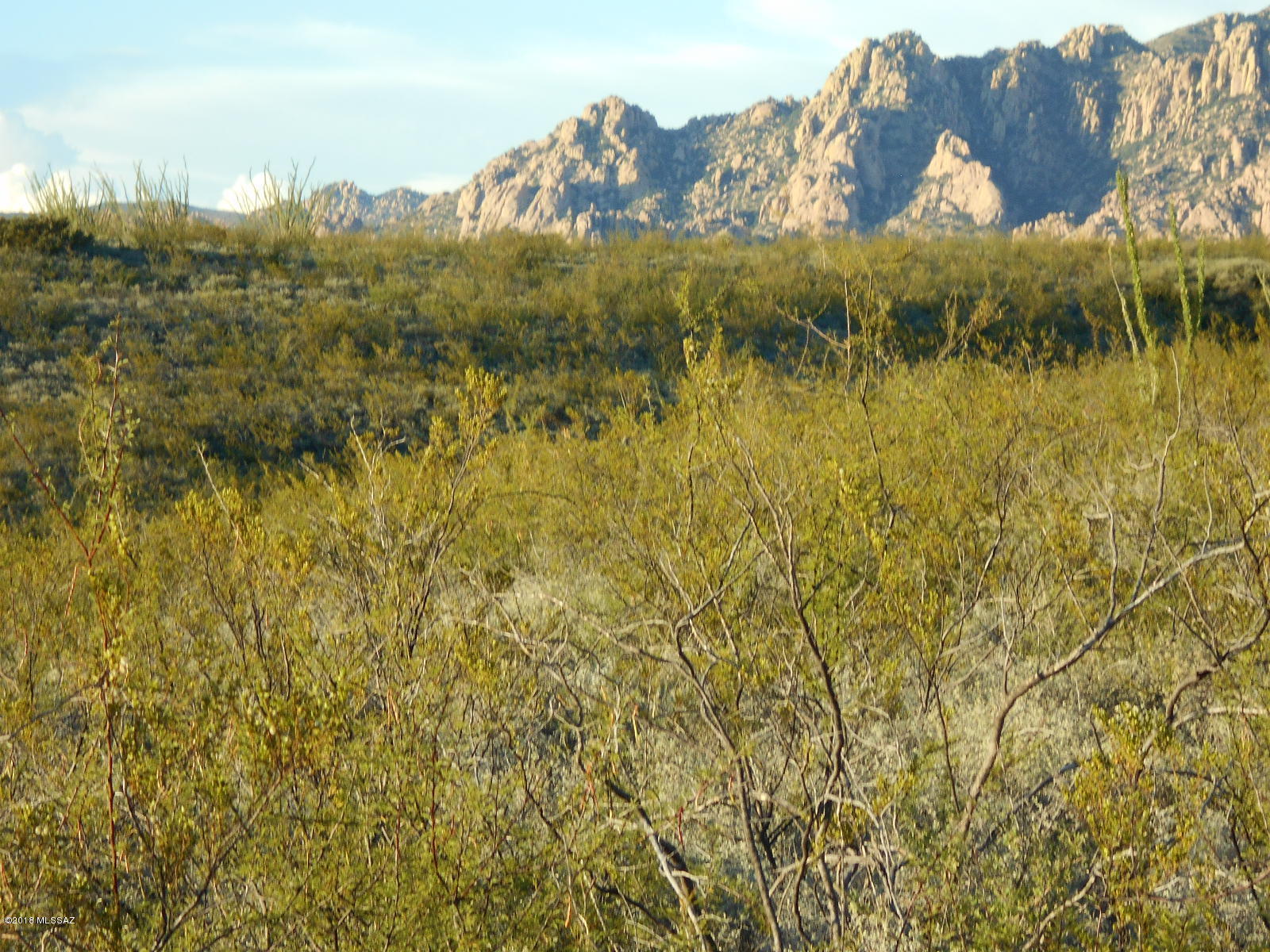 Tombstone Territory Estates Unit 1 - Land
