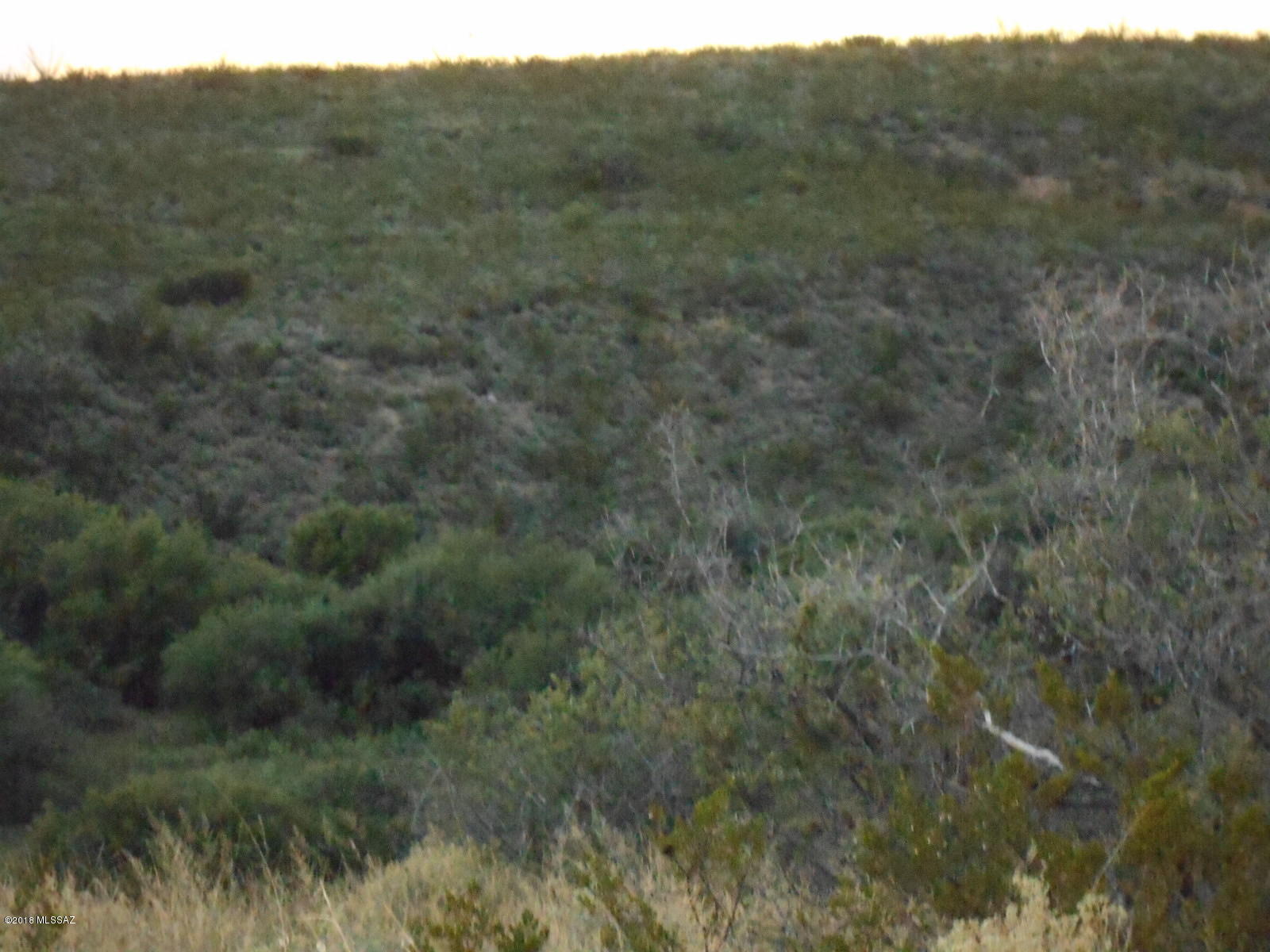 Tombstone Territory Estates Unit 1 - Land
