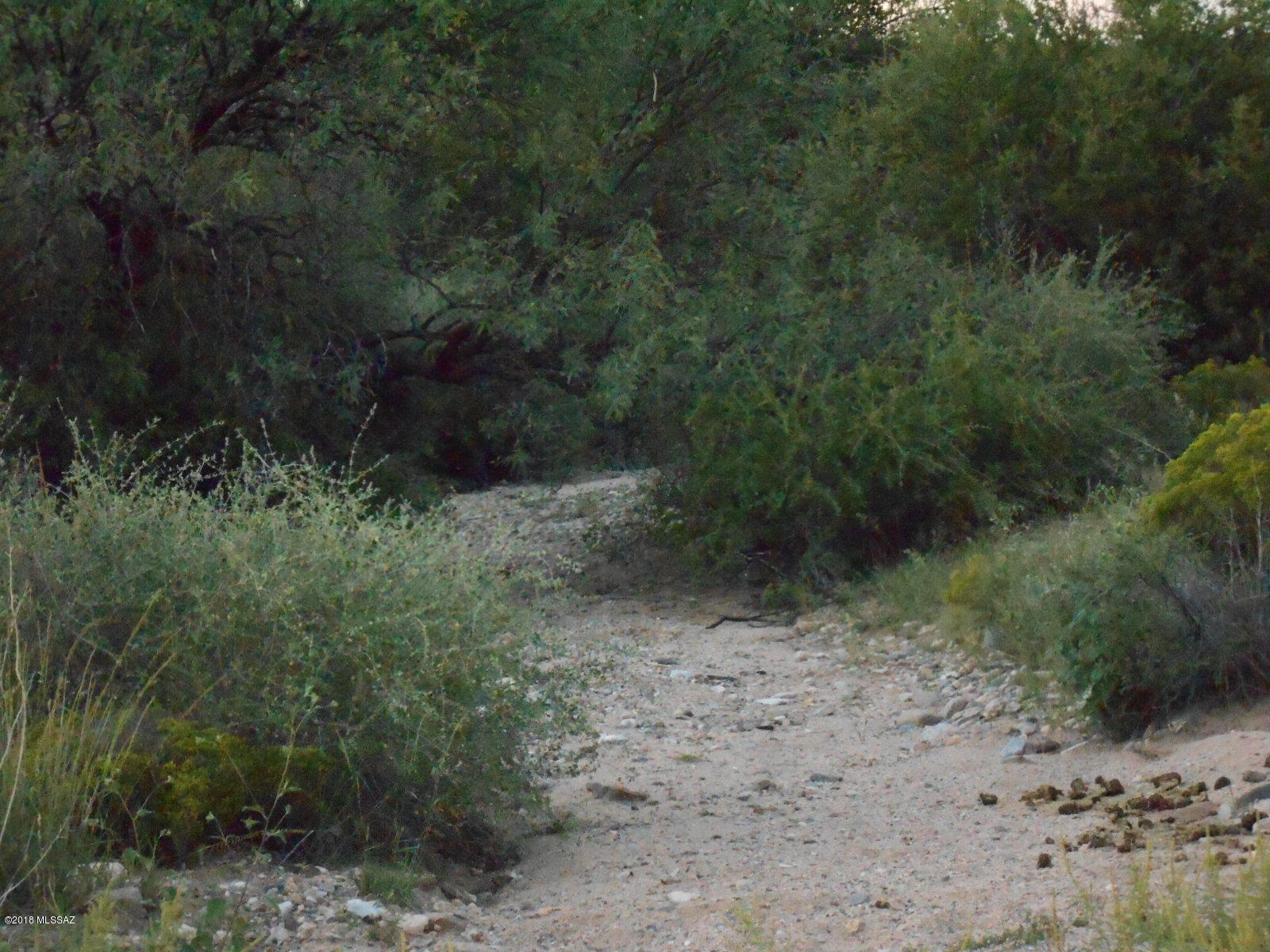 Tombstone Territory Estates Unit 1 - Land