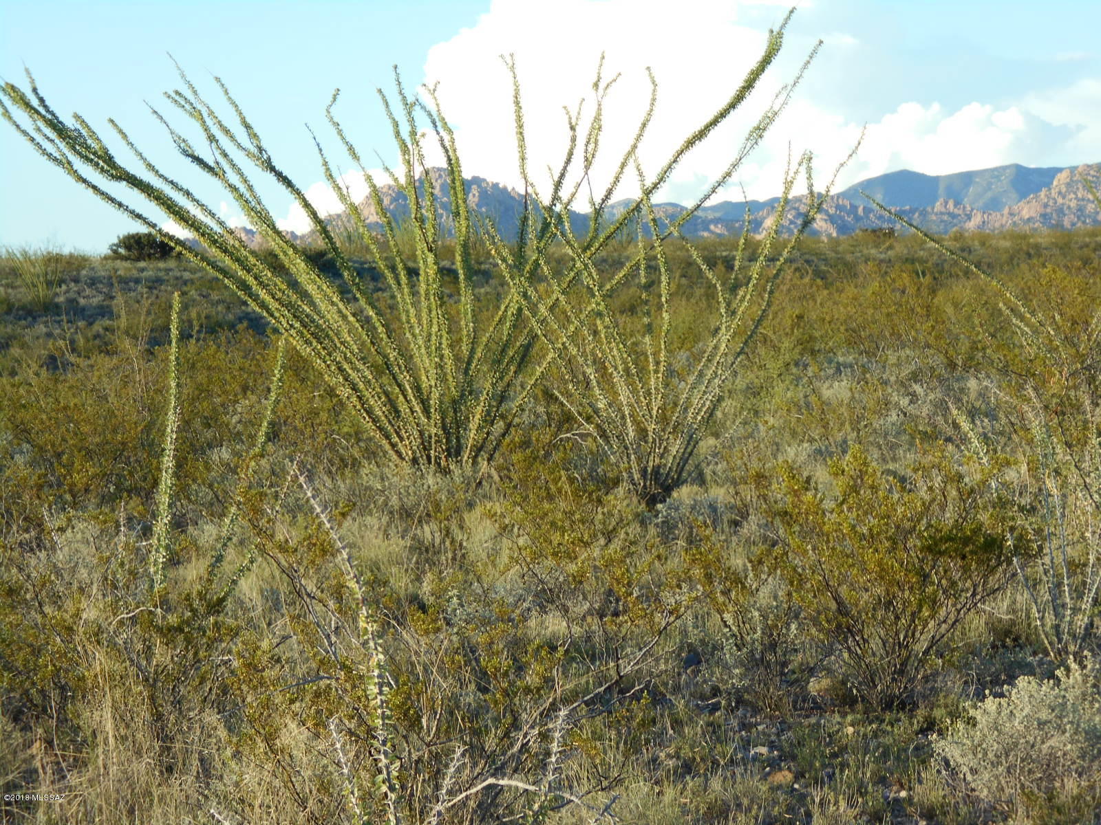 Tombstone Territory Estates Unit 1 - Land