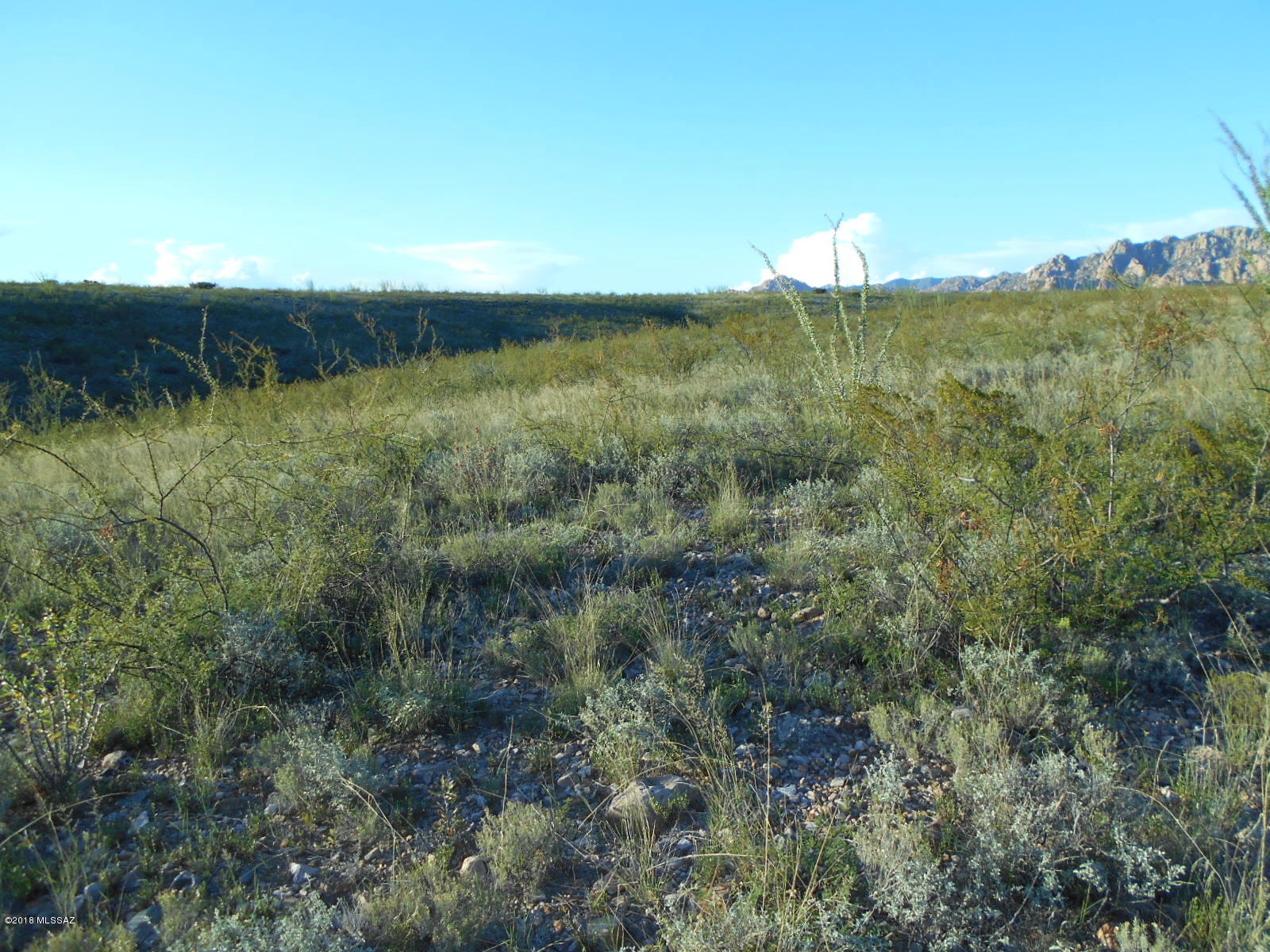 Tombstone Territory Estates Unit 1 - Land