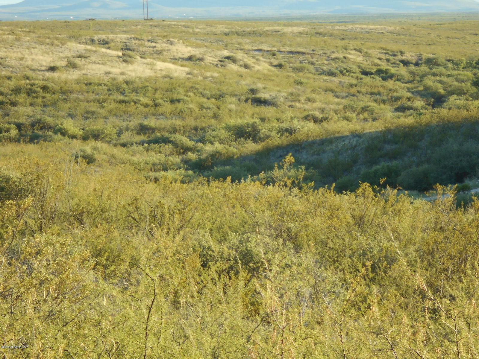 Tombstone Territory Estates Unit 1 - Land