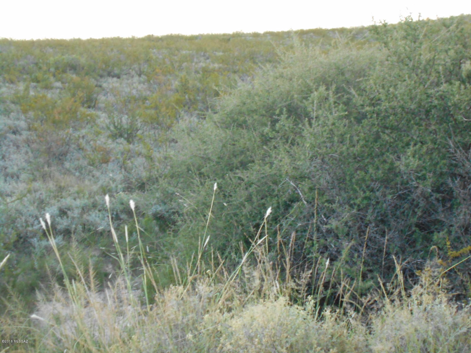 Tombstone Territory Estates Unit 1 - Land