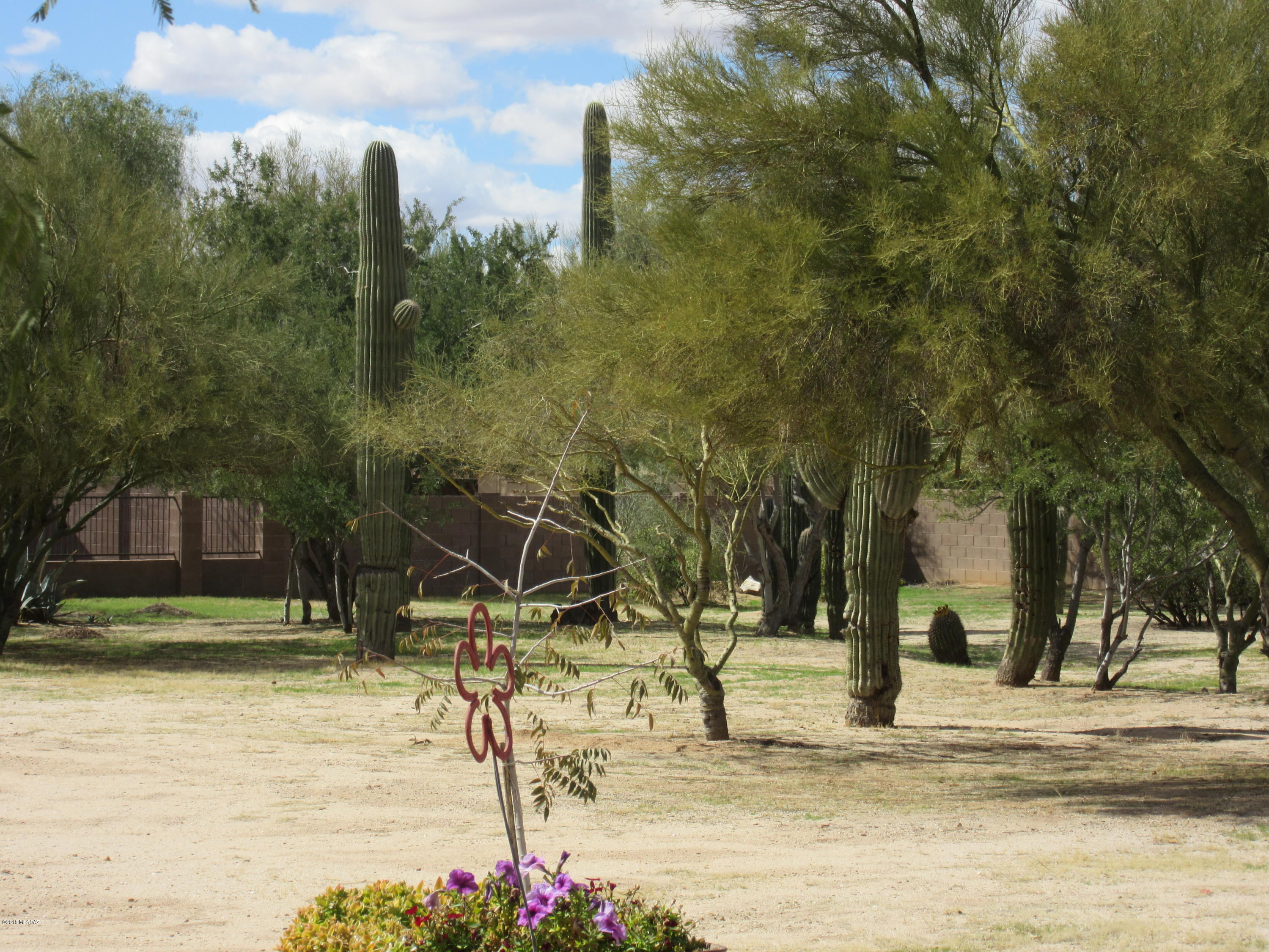 Cortaro Ridge (1-124) - Residential