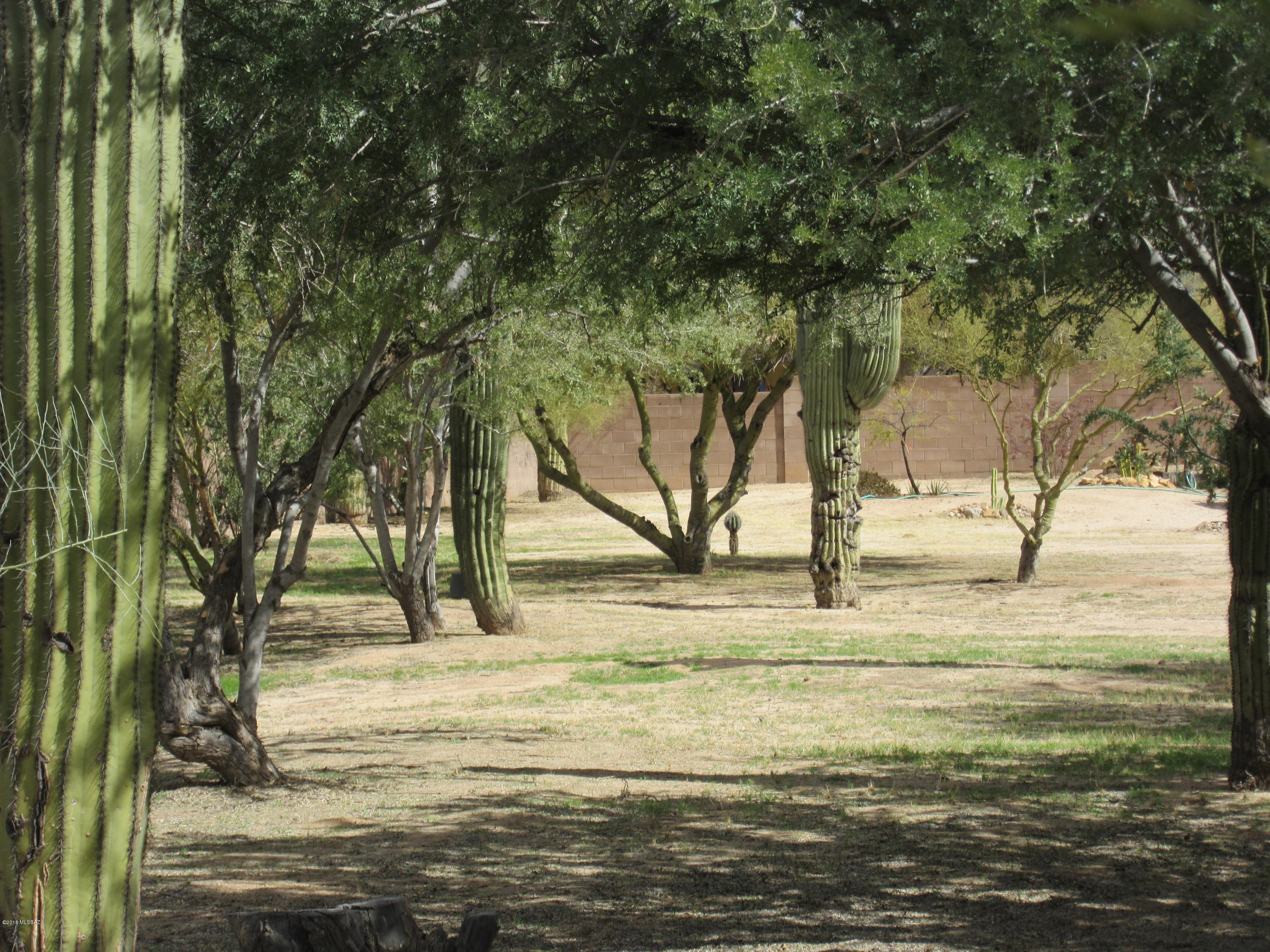 Cortaro Ridge (1-124) - Residential