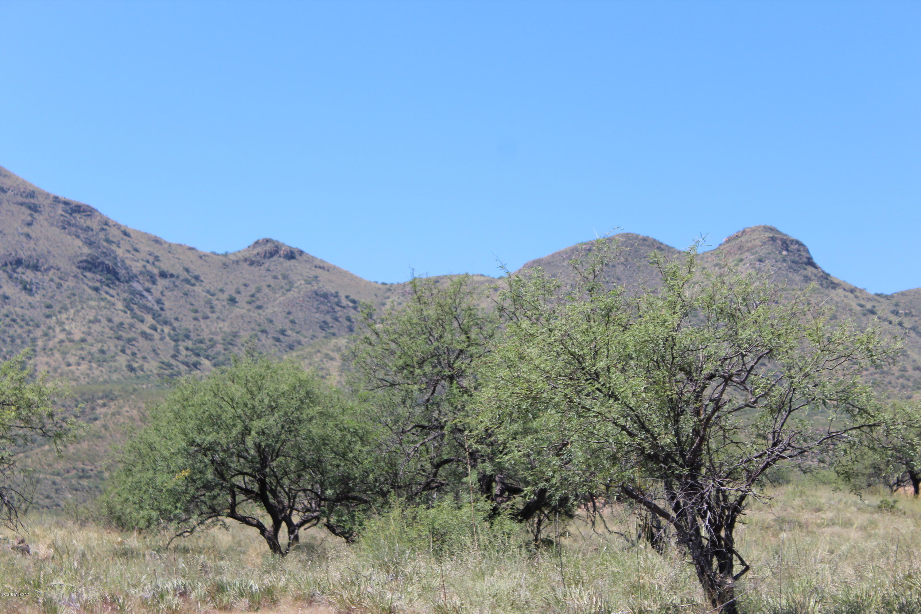 Morning Star Ranch - Land
